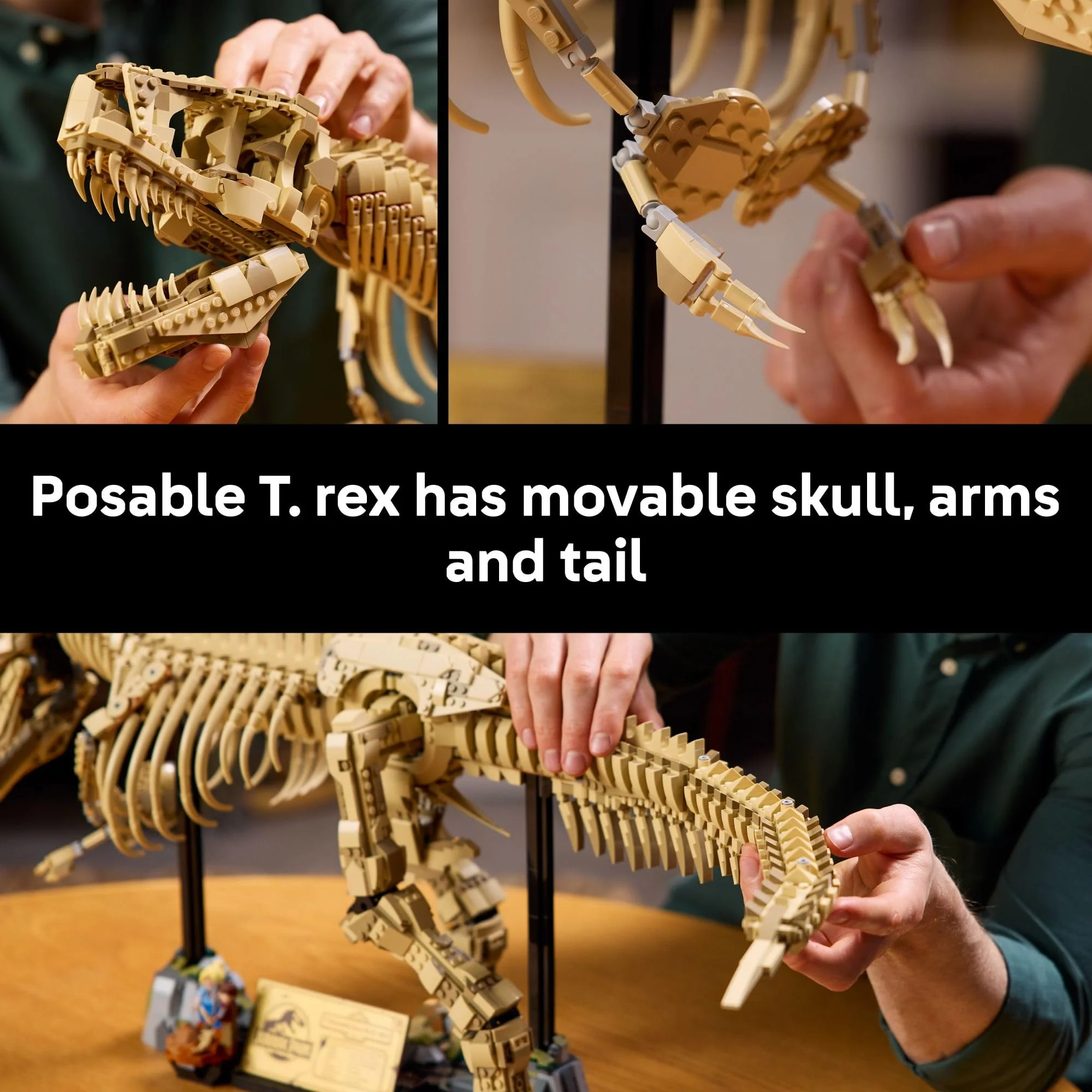 LEGO Jurassic World Dinosaur Fossils: Tyrannosaurus Rex - Building Set for Adults, Ages 18+ - Gift for Christmas - Collectible Home Decor for Bedroom, Office, or Any Room - 76968 - Image 4