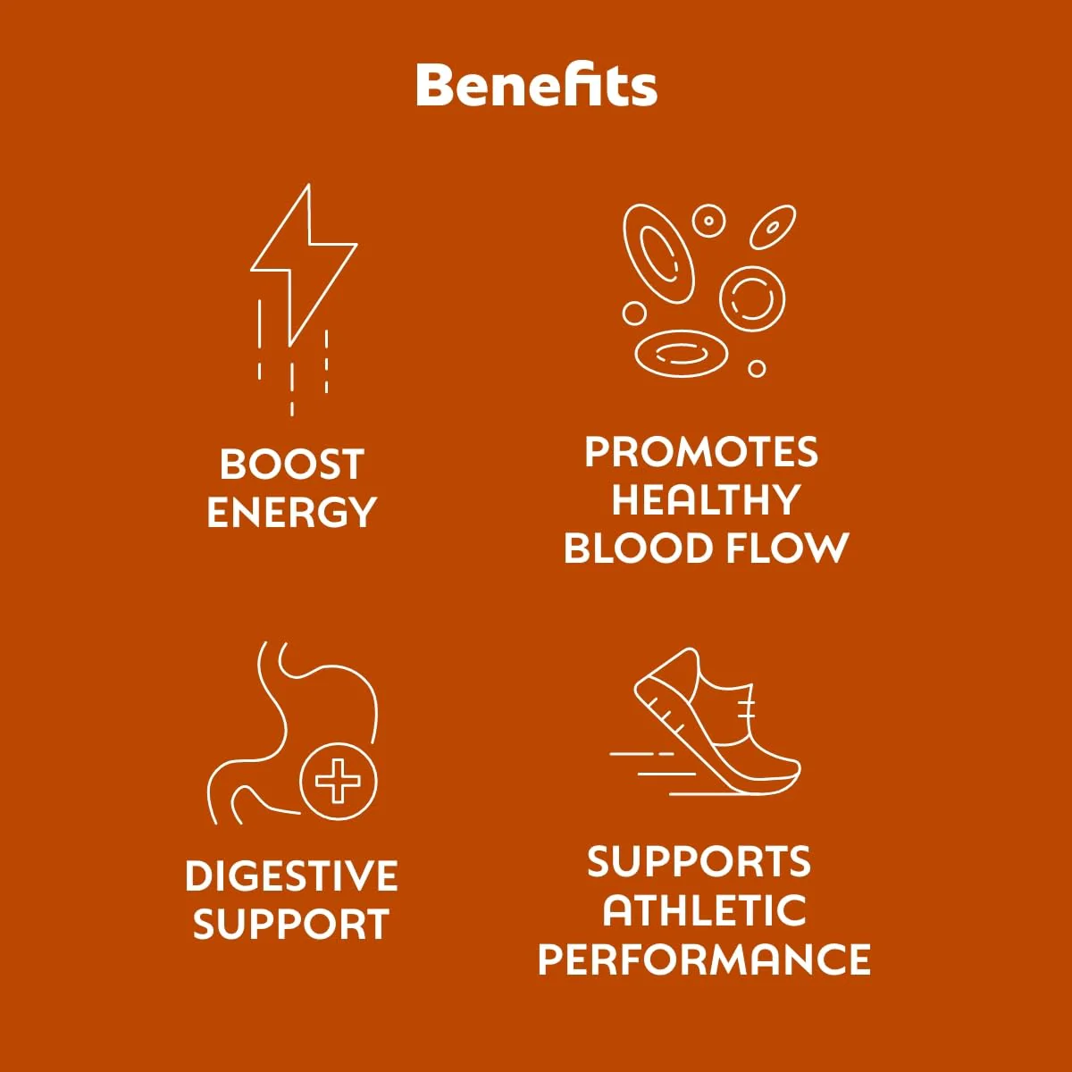 L'Evate You Vitality Daily Greens Powder (28 Servings) 30 Superfoods, 9 Greens - for a Cellular Energy Boost, Powered by M-Charge Complex for All Day Energy (Chocolate) - Image 2