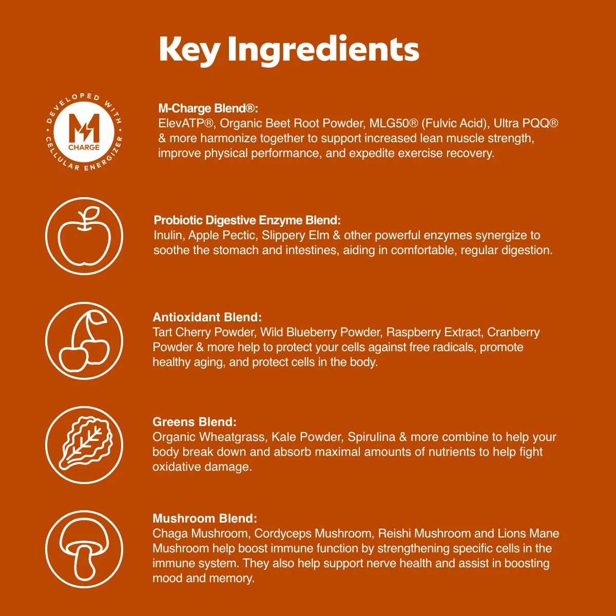 L'Evate You Vitality Daily Greens Powder (28 Servings) 30 Superfoods, 9 Greens - for a Cellular Energy Boost, Powered by M-Charge Complex for All Day Energy (Chocolate) - Image 3