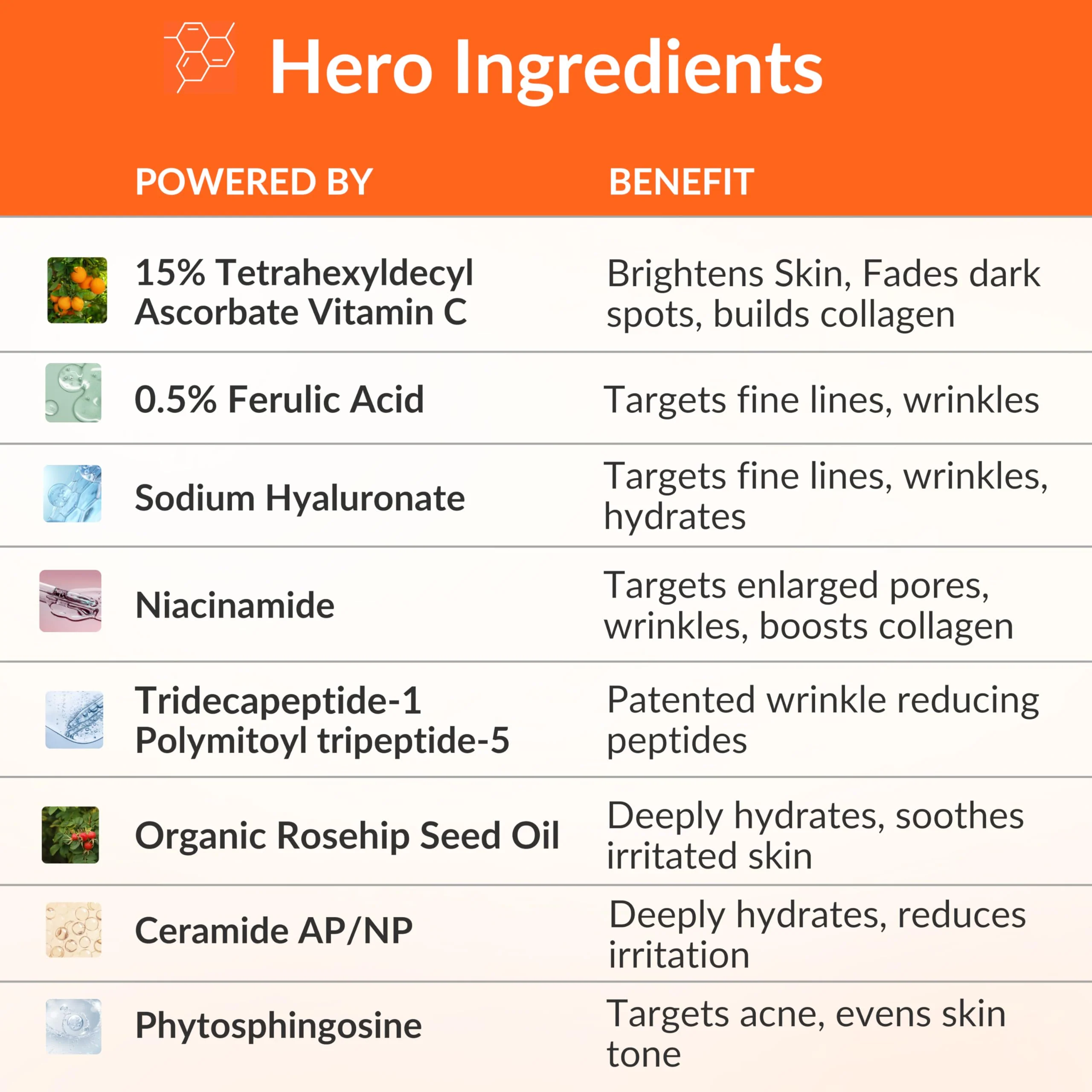 LeVaye Vitamin C Serum, Anti-Aging Face Serum – 15% Vitamin C, Ferulic Acid, Niacinamide, Hyaluronic Acid, Peptides, Ceramides – Targets Wrinkles, Fine Lines, Dark Spots, Enlarged Pores, Dry Skin - Image 4