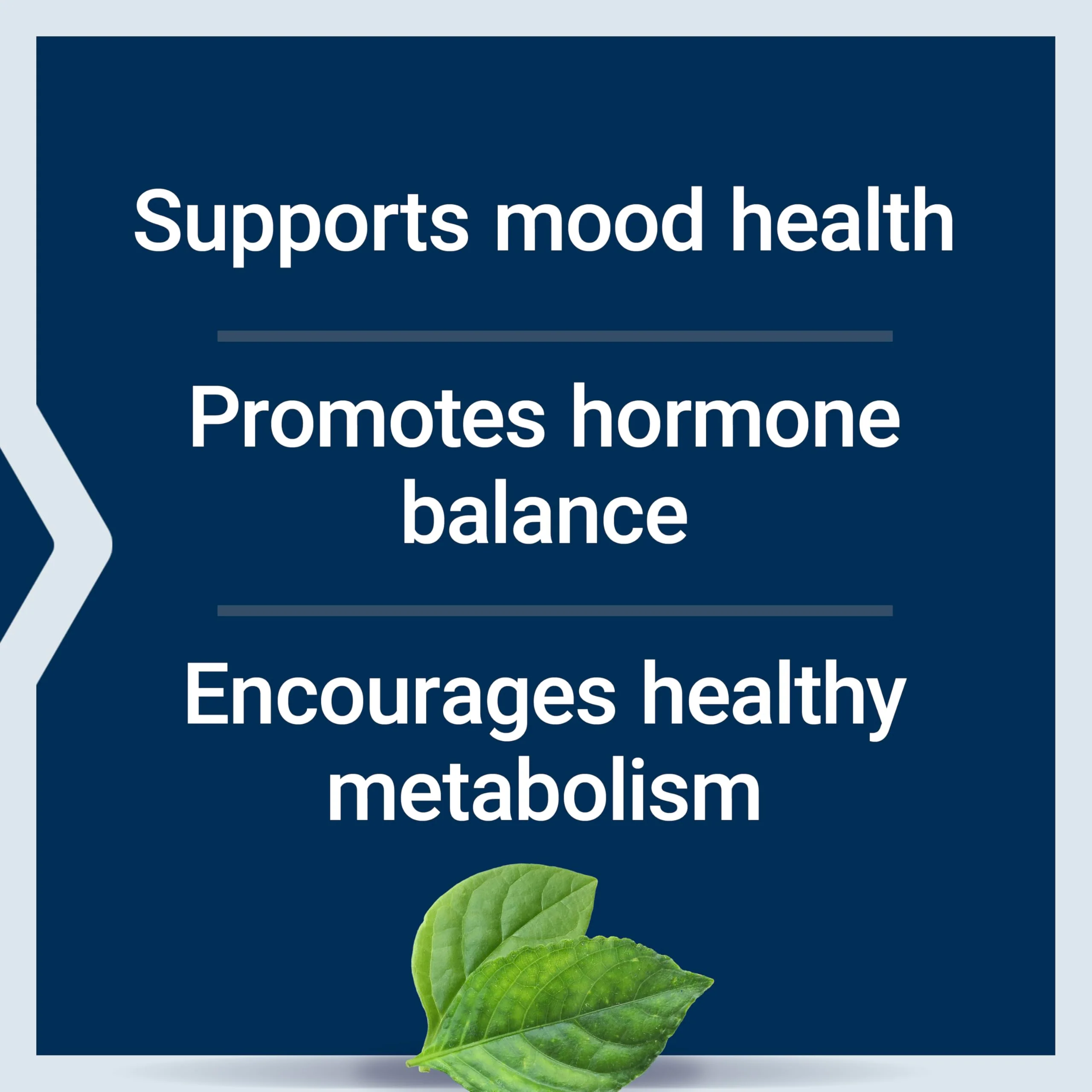 Life Extension Inositol Caps – 1000 mg, Myo-Inositol – Mood Health, Well-Being, Healthy Metabolism, Hormone Balance – Gluten-Free, Non-GMO, Vegetarian – 360 Capsules - Image 7