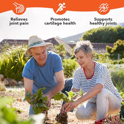 LifeSeasons Mobili-T - Joint Support Supplement - Reduces Aches & Discomforts - Increase Range of Motion - Rebuild Tissue & Cartilage - MSM Chondroitin Collagen Glucosamine & Turmeric - 208 Capsules - Image 5