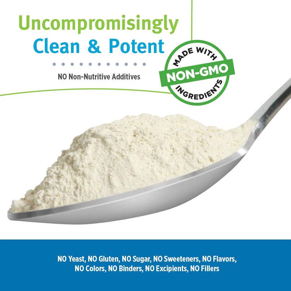 LifeTime Multiple Vitamin & Mineral Powder - Daily Multivitamin, Powdered Vitamins, Drink Mix for Women & Men, All in One Protein Smoothie Powder, 8g Protein - Original Formula, 2.2 lbs (66 Servings) - Image 4
