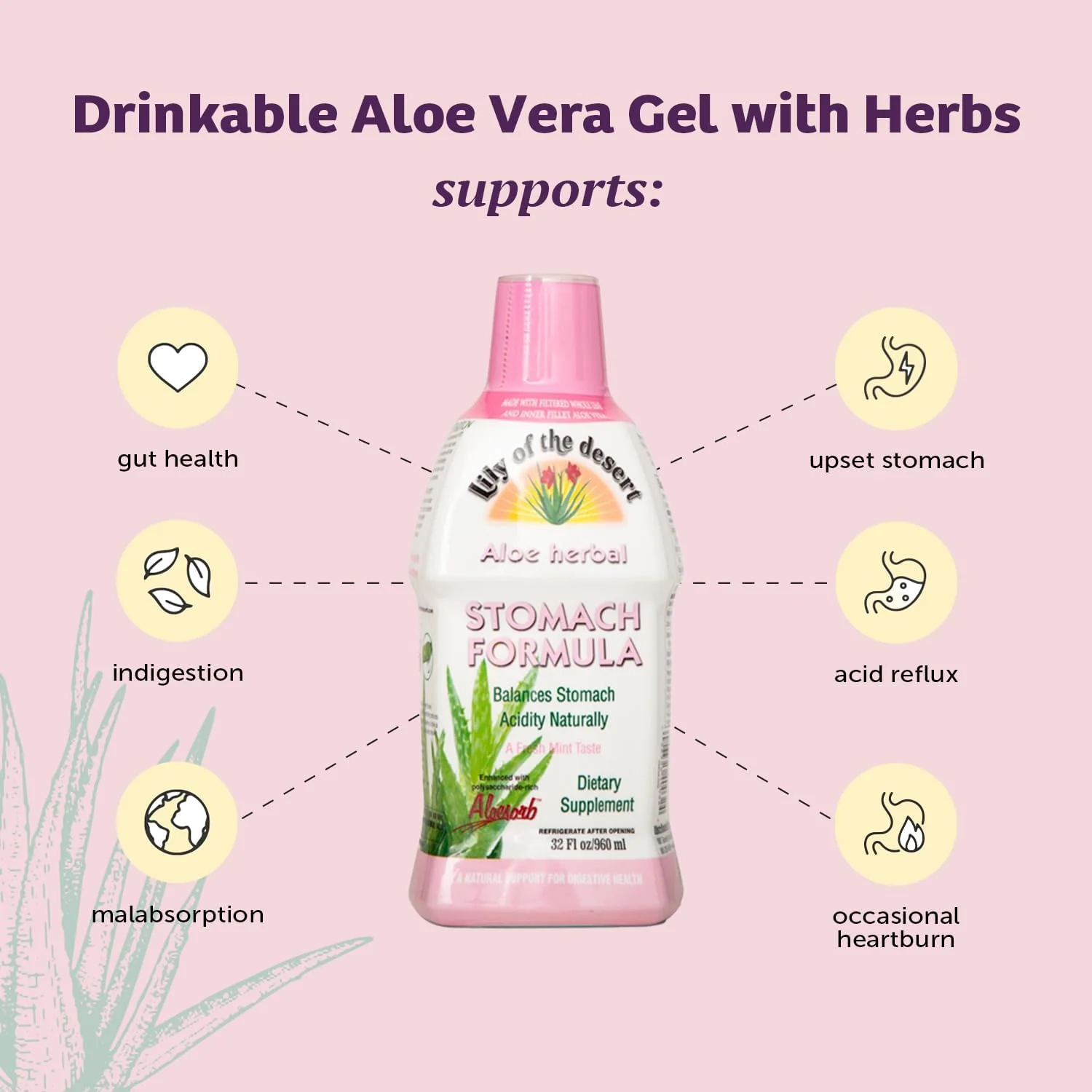 Lily of The Desert Stomach Formula, Organic Aloe Vera Juice with Slippery Elm, Chamomile, Peppermint, and Ginger for Gut Health, Acid Reflux, Heartburn Relief, 32 Oz, Gelly Sachet Included,1 - Image 5