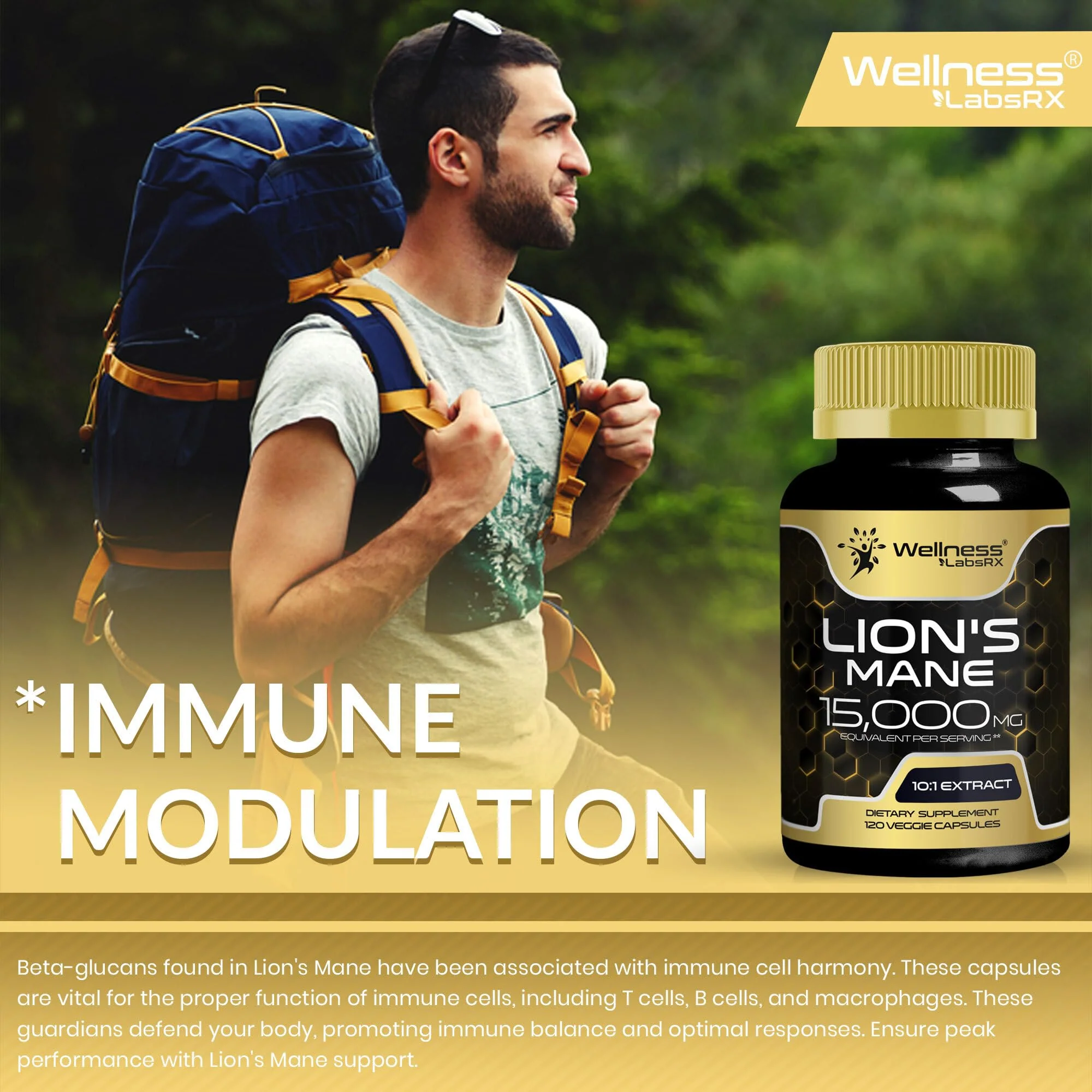 Lions Mane Supplement Capsules - 120 Count - Mushroom Supplement, Brain Supplements for Memory and Focus, Lion's Mane Mushroom Capsules - Cognitive & Immune Support, Focus Supplement - 2 Pack - Image 2
