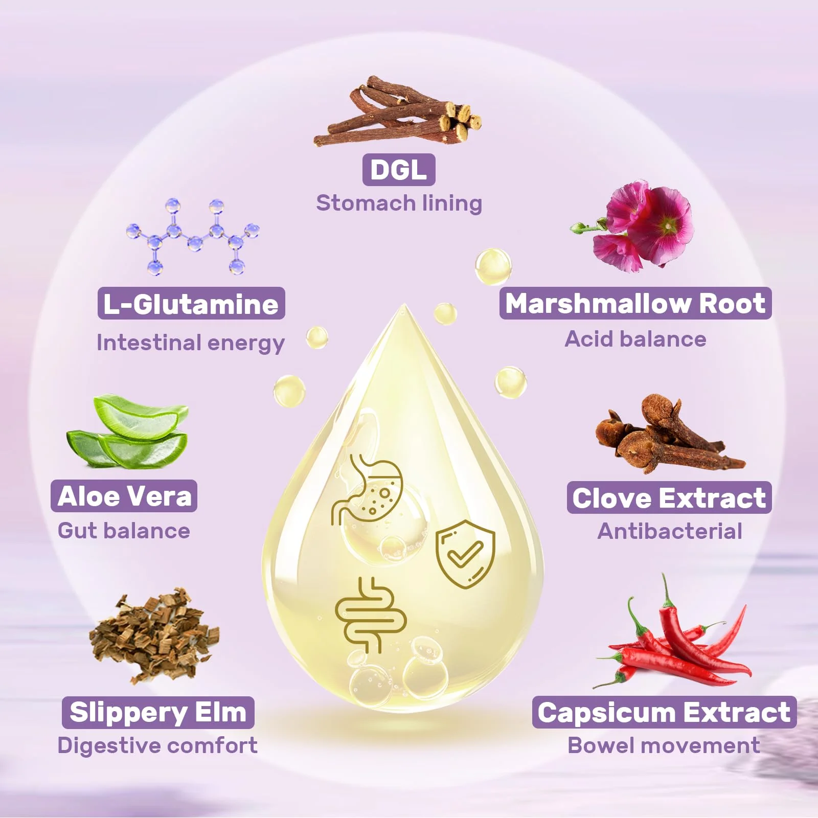 Liposomal DGL Licorice Root Extract - Deglycyrrhizinated Licorice with L-Glutamine, Marshmallow, Clove, and Slippery Elm - Digestive, Stomach Lining, Elimination, Max Absorption, 60 Servings - Image 7