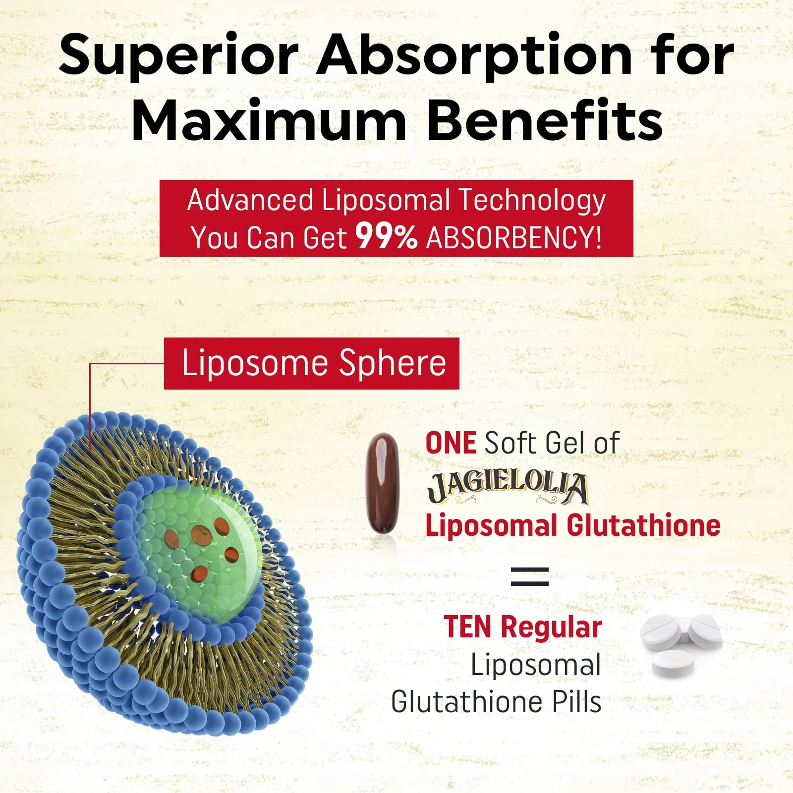 Liposomal Glutathione 2000 mg with L-Serine, L-Glycine & Sulforaphane – Active L-Glutathione Unique Formulation to Enhance Absorption - Master Antioxidant, Detoxifying & Immune | 240 Softgels - Image 5