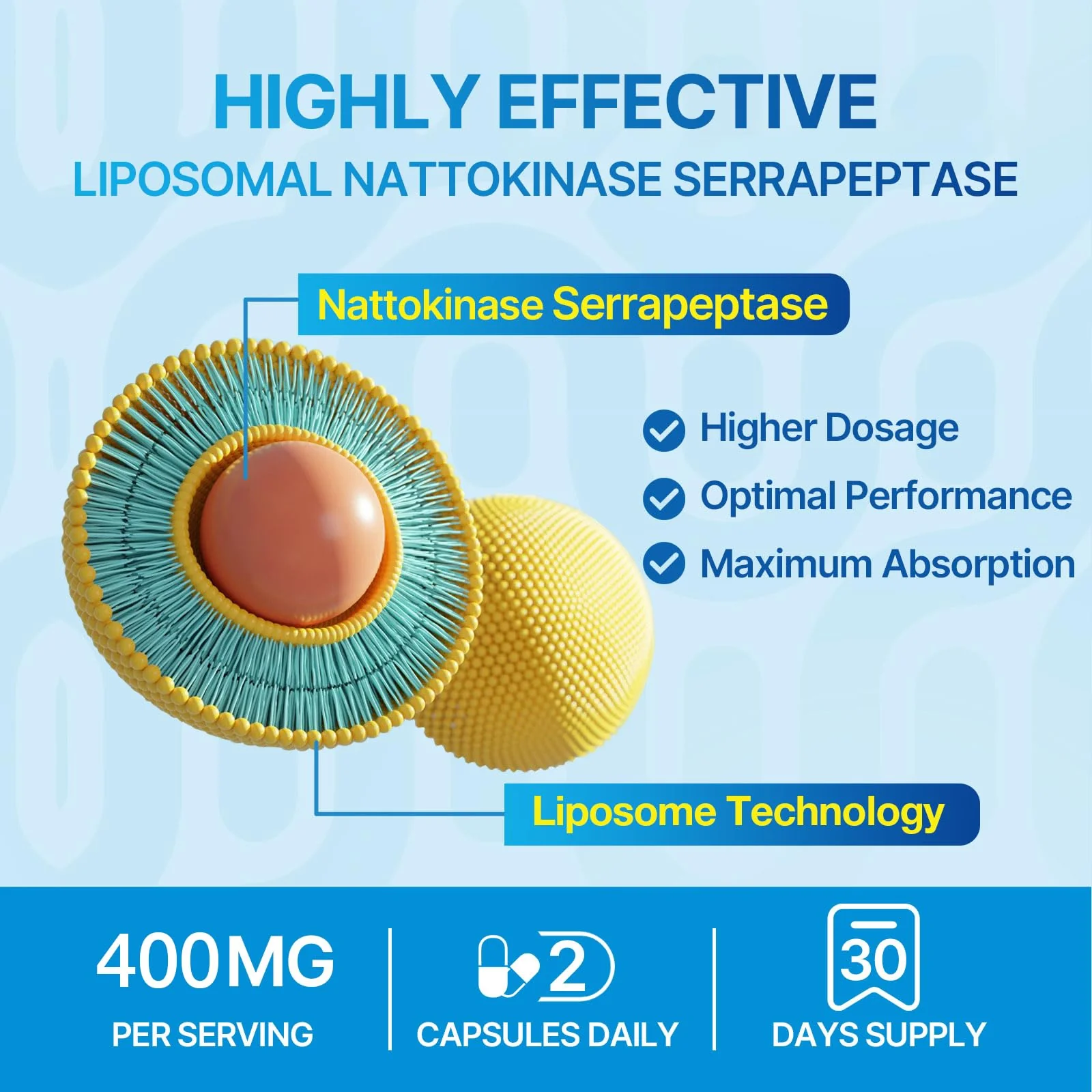 Liposomal Nattokinase 12,000 FU Serrapeptase 360,000 SPU Enzyme Supplement - Enriched with Synergistic Enzymes and Nutrient Blend & Inulin for Circulatory, Gut, Digestion 60 Capsules (1 Bottle) - Image 4