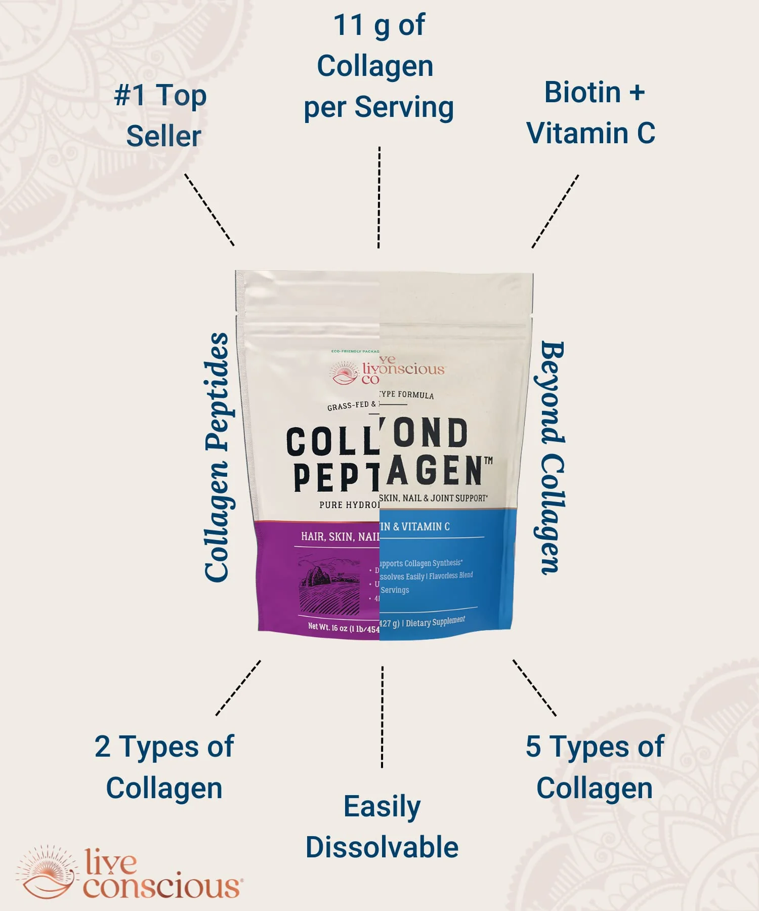 Live Conscious Collagen Powder Hydrolyzed Collagen Peptides Type I & III - Keto & Paleo Friendly - Unflavored - 20 Servings, 7.8 oz - Image 5