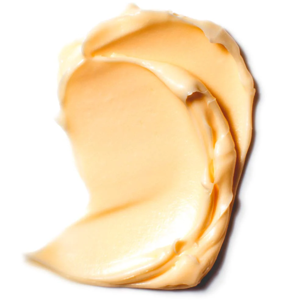 L'Oreal Paris Skincare Age Perfect Hydra-Nutrition Anti-Aging Day Cream with Manuka Honey Extract, 1.7 Ounce - Image 7
