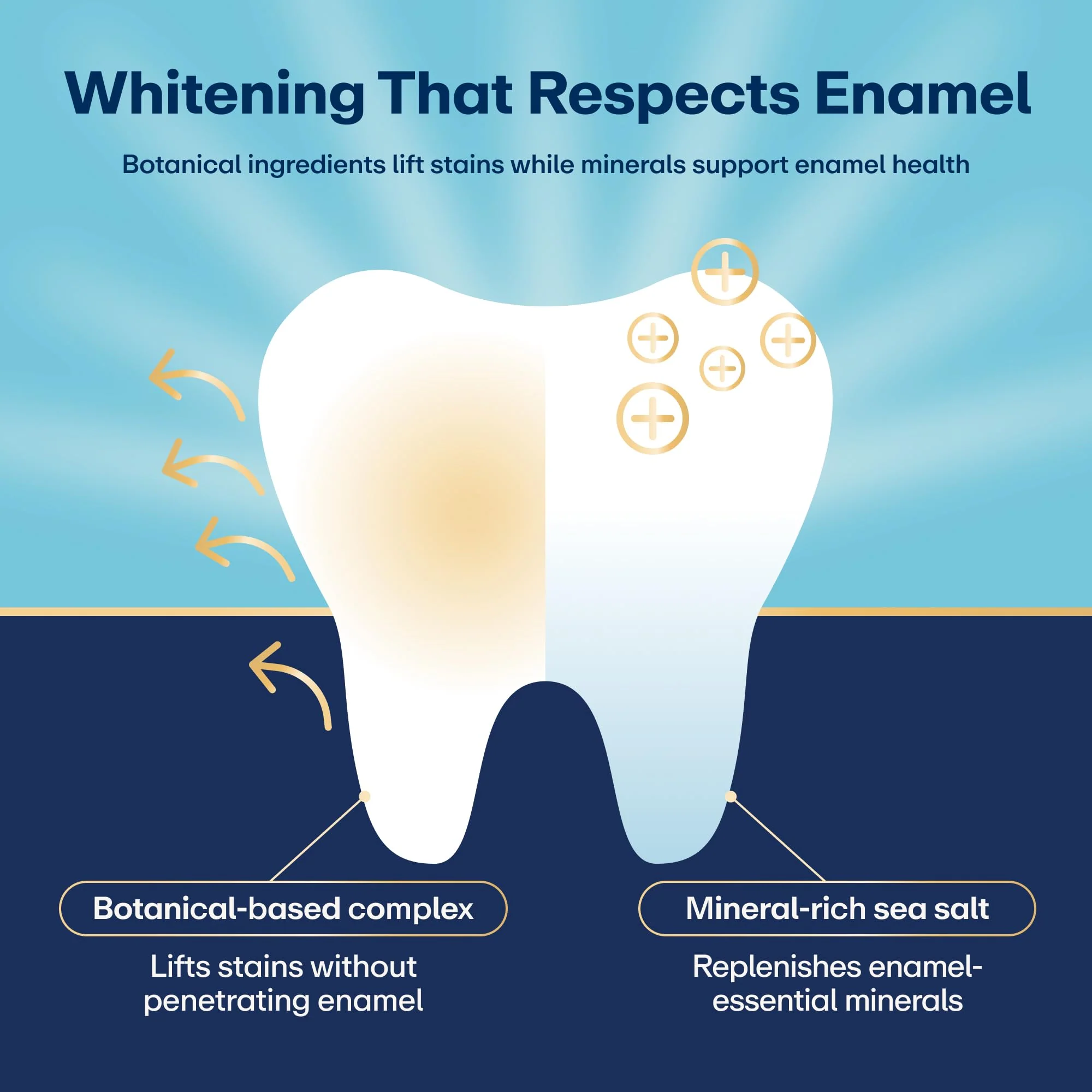 Lumineux Teeth Whitening Strips Kit - 9 Treatments (1 Month) - Peroxide Free - Enamel Safe for Whiter Teeth - Whitening Without The Sensitivity - Dentist Formulated - Sensitivity Free - Image 3