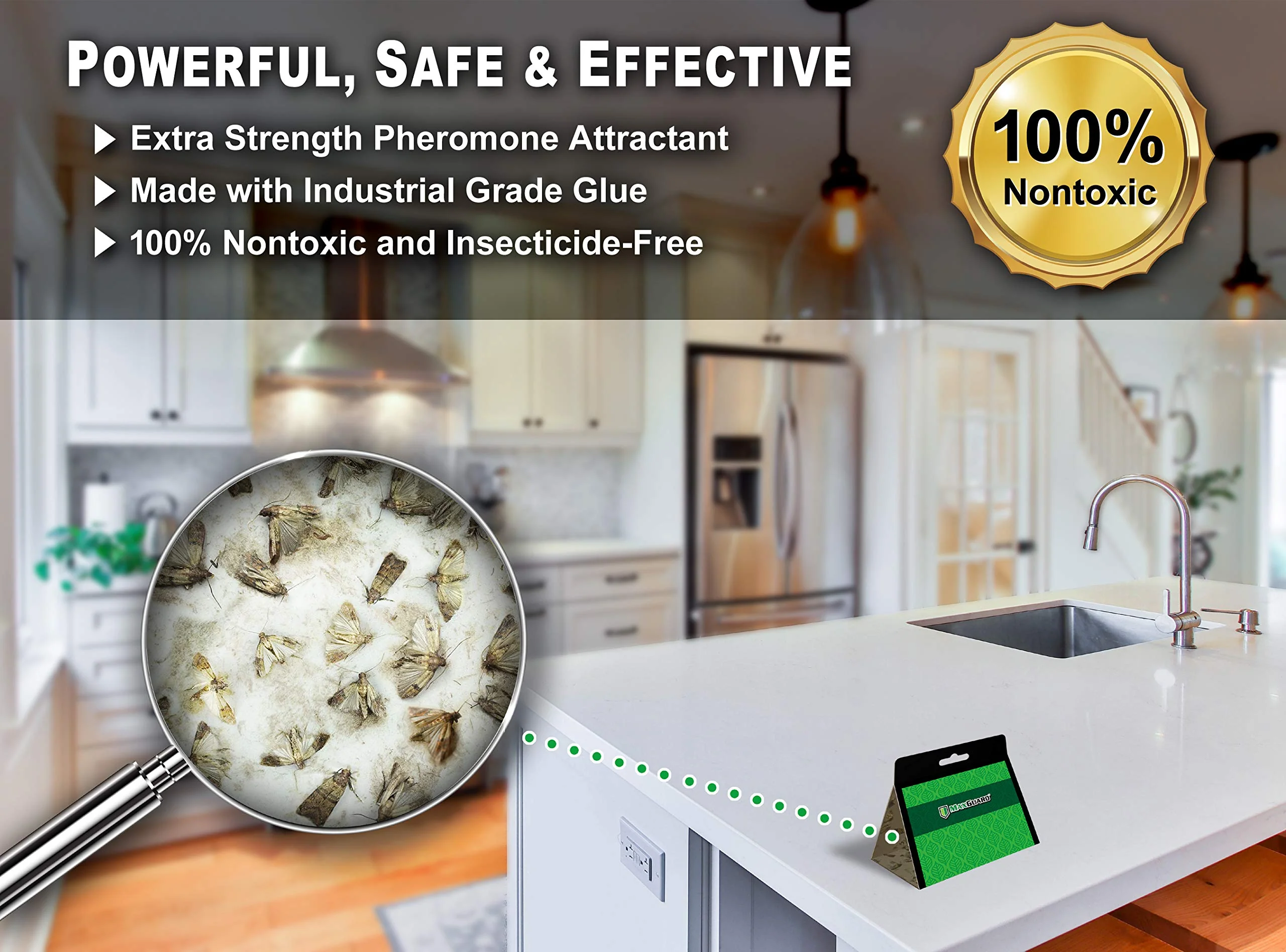 MaxGuard Pantry Moth Traps (24 Pack) with Extra Strength Pheromones | Non-Toxic Sticky Glue Trap for Food and Cupboard Moths in Your Kitchen | Trap and Kill Seed Grain Flour Meal Moths Pests | - Image 4