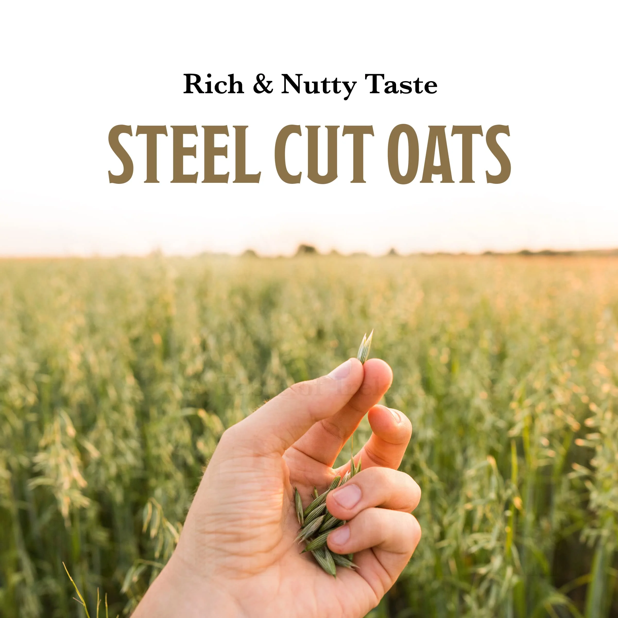 McCann's Irish Oatmeal, Traditional Steel Cut Oats, 28 Ounce - Image 4