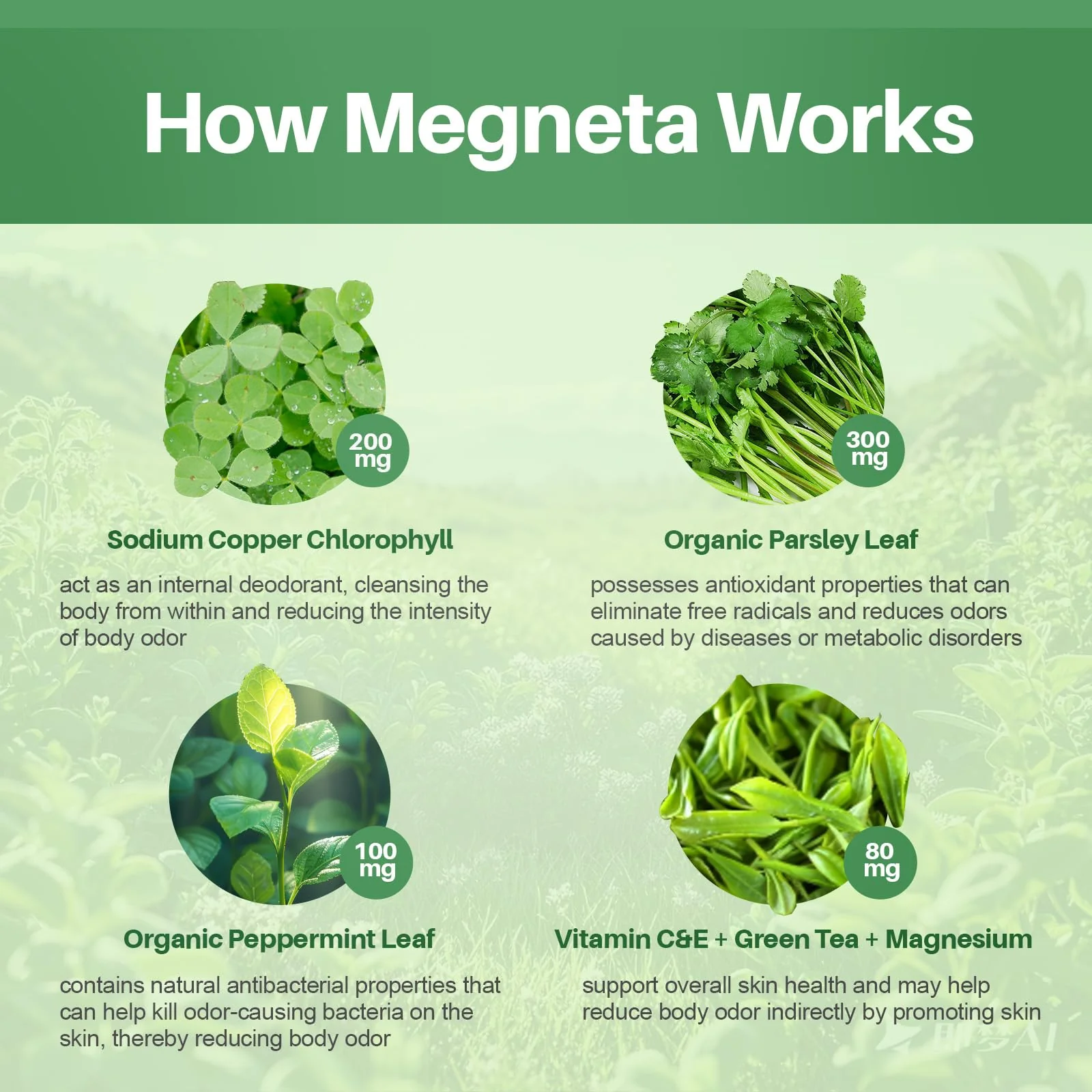 MEGNETA Body Deodorizing Supplement, Natural Internal Odor Control Pills for Men & Women, Chlorophyll Capsules for Skin, Breath and Gut Health (60 Capsules) - Image 6