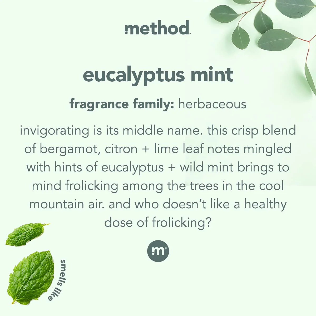 Method Daily Shower Spray Cleaner, Eucalyptus Mint, 28 Ounce, 1 pack, Packaging May Vary (Pack of 3) - Image 3