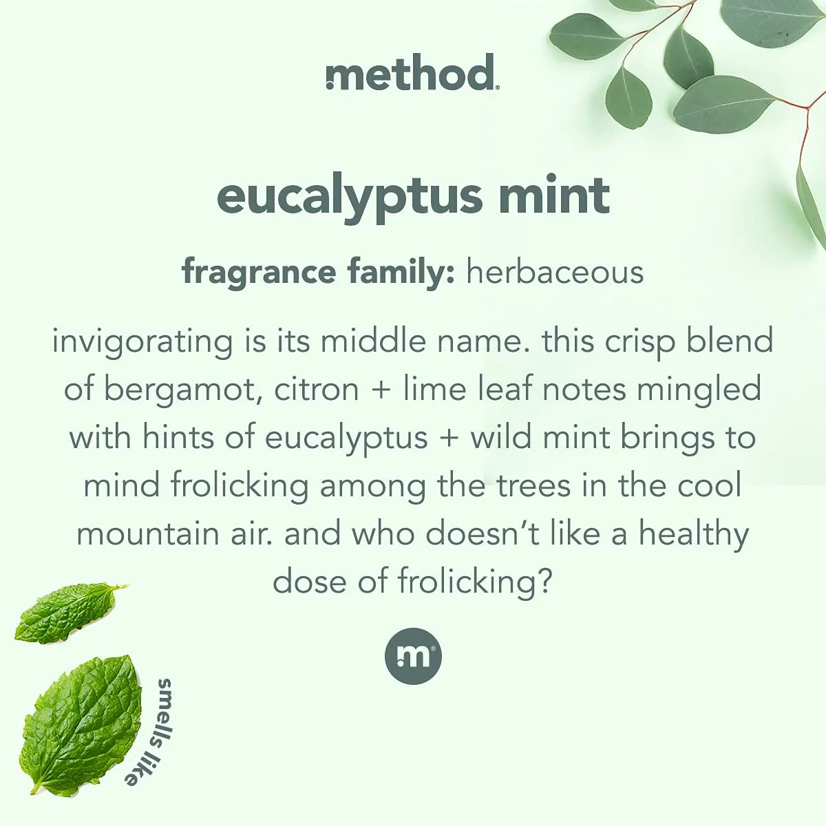 Method Daily Shower Spray Cleaner, Eucalyptus Mint, For Showers, Tile, Fixtures, Glass and Tubs, fl 28 oz (Pack of 1) - Image 3