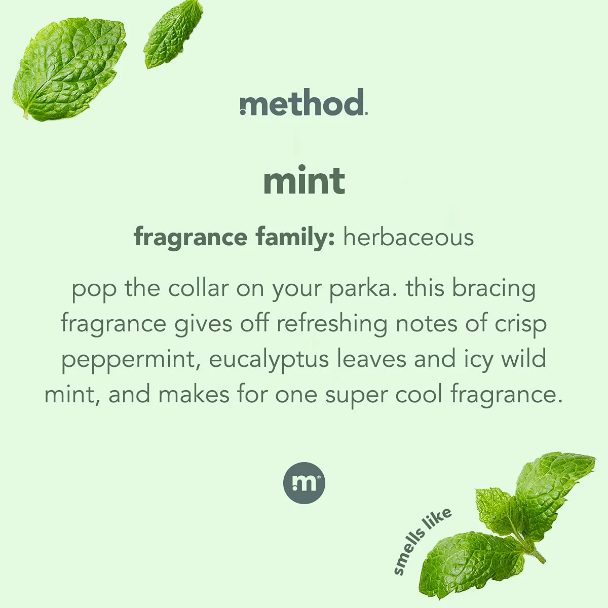 Method Glass Cleaner,Mint,28 Ounce,Packaging May Vary,(Pack of 8) - Image 4