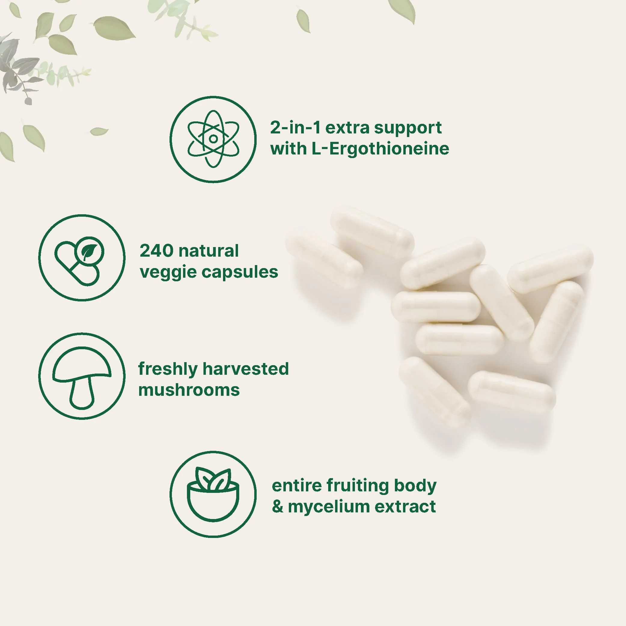 Micro Ingredients Lions Mane Supplement Capsules, 240 Veggie Capsules with L-Ergothioneine, 4 Month Supply | Non-GMO - Image 6
