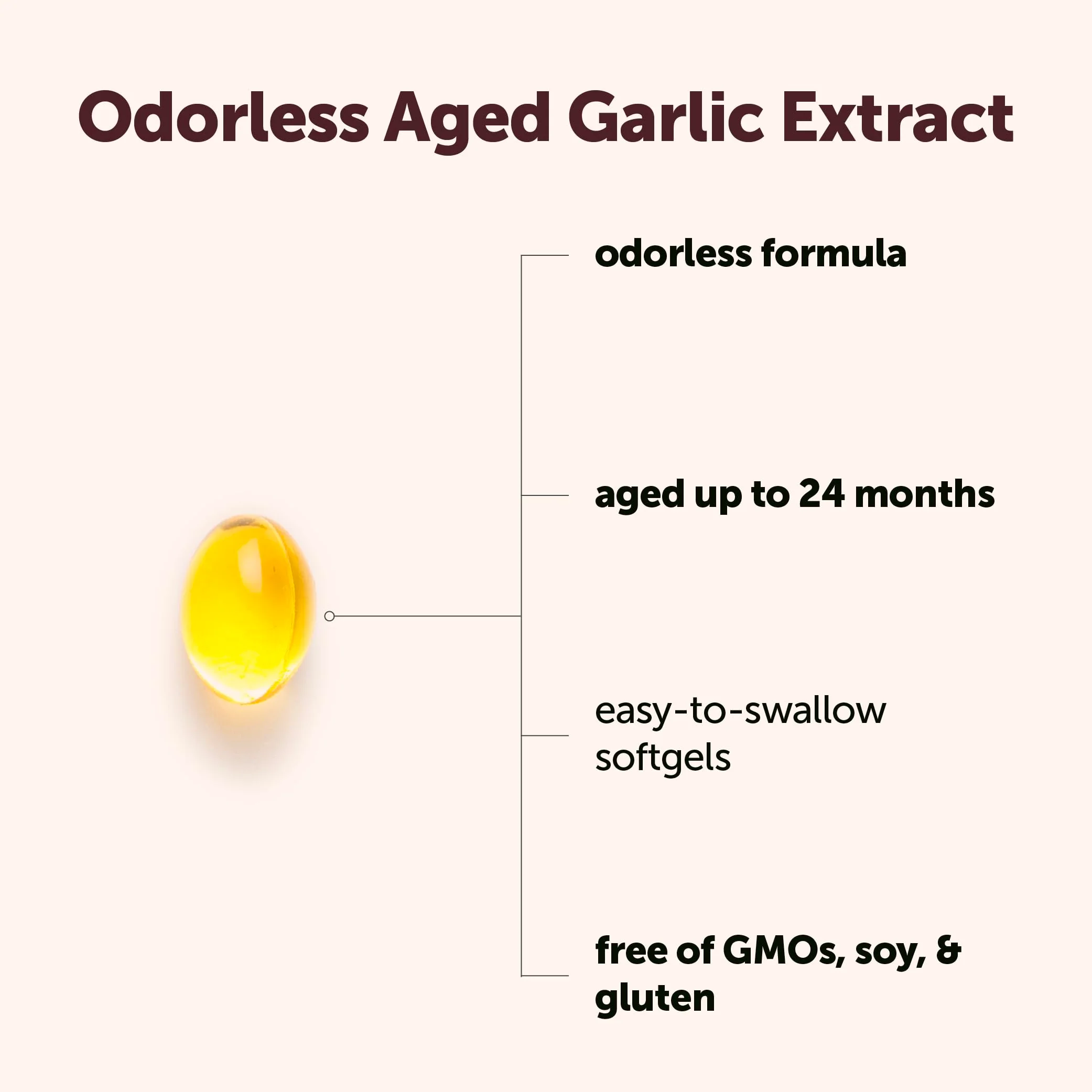 Micro Ingredients Odorless Garlic, 150 Softgels | 2 Years Aged Garlic Extract | Grown Allium Sativum Bulb | Natural Herbal Supplements | Non-GMO, Gluten Free - Image 2
