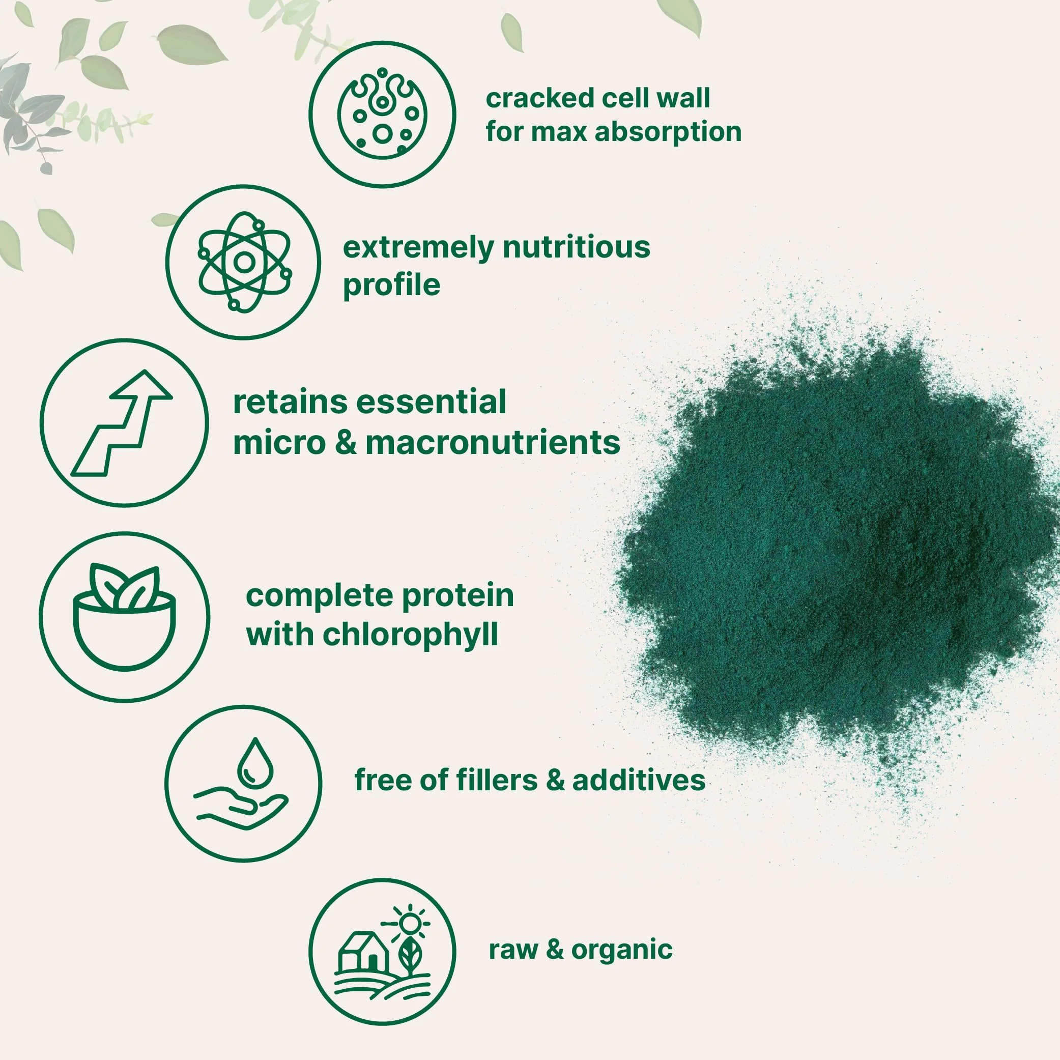 Micro Ingredients Organic Chlorella Powder, 20 Ounces | Broken Cell Wall for Complete Absorption | Raw Superfood Supplement, Rich in Protein & Vitamins | Non-GMO, Vegan, Non-Irradiated - Image 5
