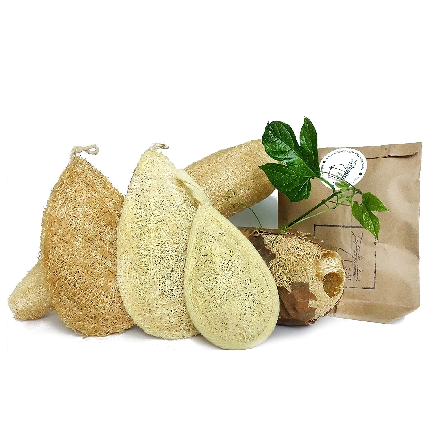 Miw Piw Natural Loofah Dish Sponge (Pack 10) - Vegetable Scrubber for Kitchen - 100% Biodegradable Compostable Dishwashing Scouring Pad, Zero Waste Plastic Free Eco Friendly Sustainable - Image 3