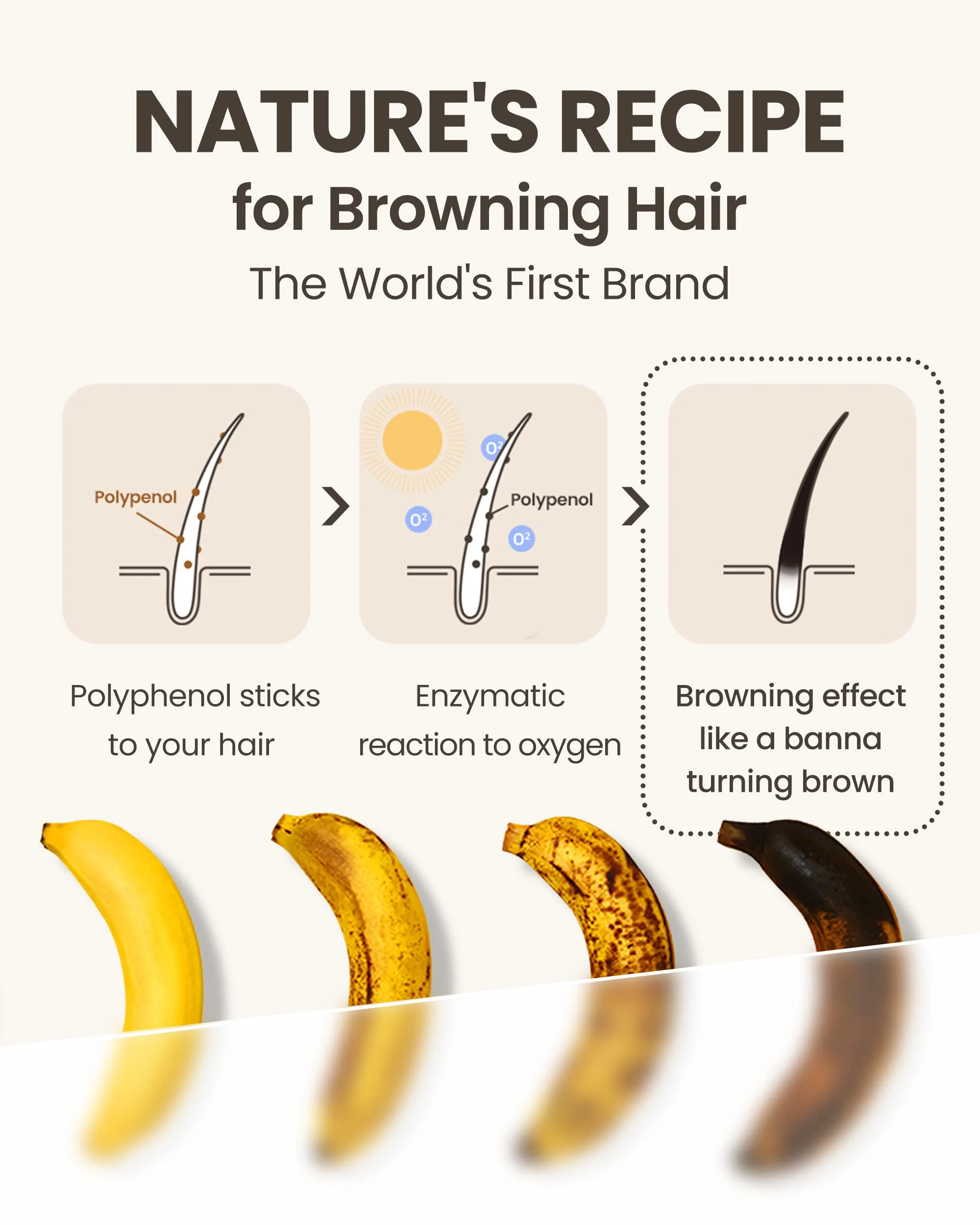 MODA Pro-Change Black Shampoo | Korean Hair Darkening, Volumizing & Anti-Hair Fall Shampoo | Paraben & Sulfate Free, Natural Formula for Thicker, Fuller Hair (10.5 oz) - Image 6