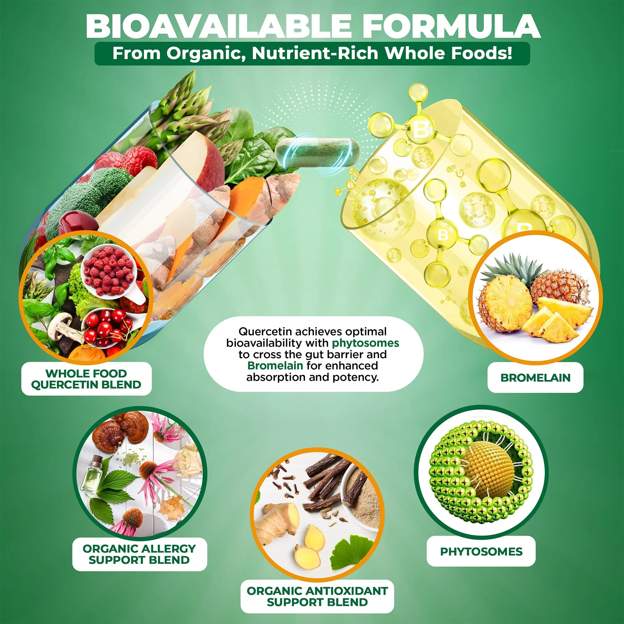 MoxyVites Quercetin with Bromelain 500mg Supplement - Bioactive Phytosome Complex, Pure Organic Whole Food Seasonal Support, Antioxidant, 20X Absorption & Bioavailability-120 Caps - Image 5