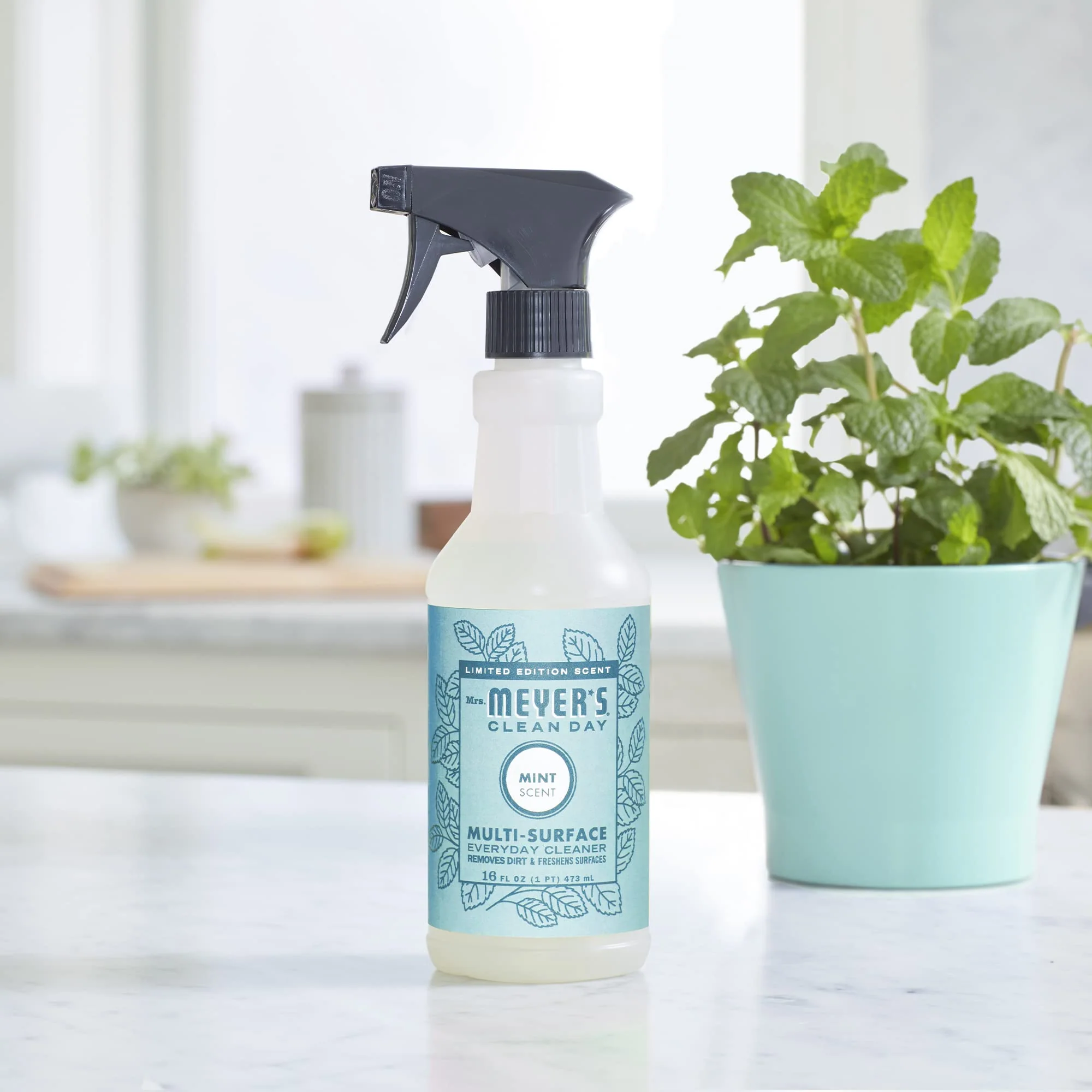 Mrs. MEYER'S CLEAN DAY All-Purpose Cleaner Spray,Limited Edition Mint,16 fl. oz,(Pack of 6) - Image 3