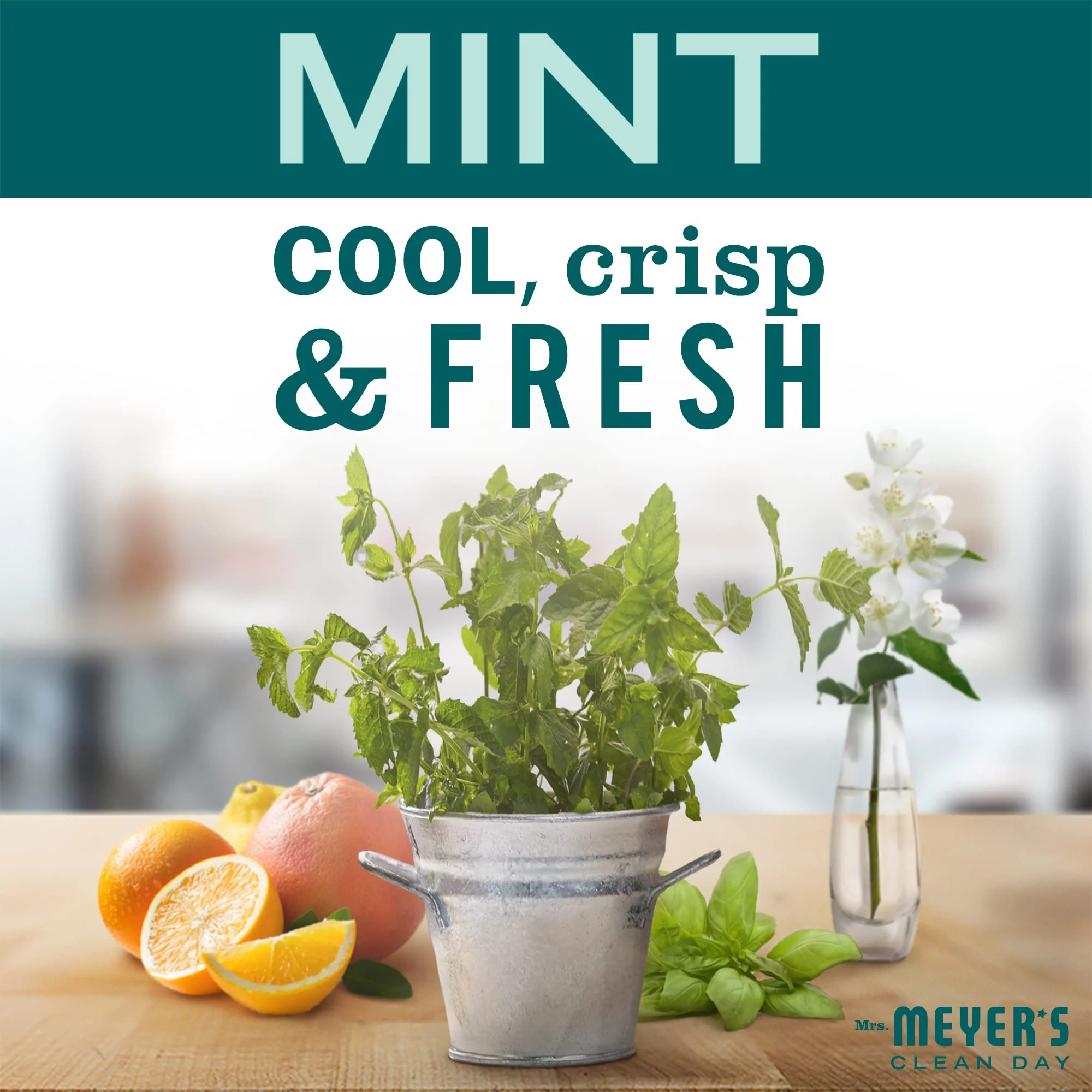 Mrs. MEYER'S CLEAN DAY All-Purpose Cleaner Spray,Limited Edition Mint,16 fl. oz,(Pack of 6) - Image 5