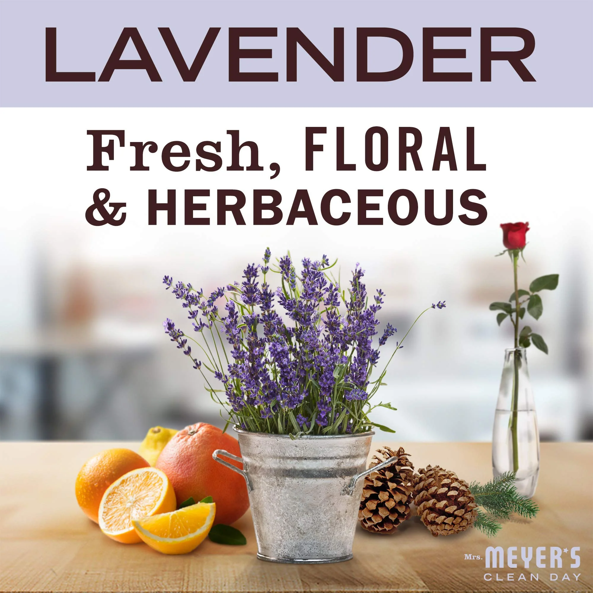 MRS. MEYER'S CLEAN DAY Foaming Hand Soap Concentrated Refills, 4 Concentrated Refills (2 Fl. Oz each), Lavender Scent, Makes 40 Fl. Oz. of Foaming Soap Total - Image 2