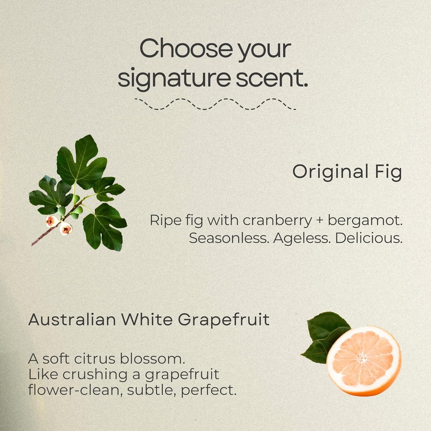 Murchison-Hume All Purpose Cleaner Spray | Plant Based Multi-Surface | Non-Toxic | Food & Pet Safe | Granite, Marble & Stone Safe | Cuts Grease | Kitchen & Bath | Refill Available | Original Fig - Image 2