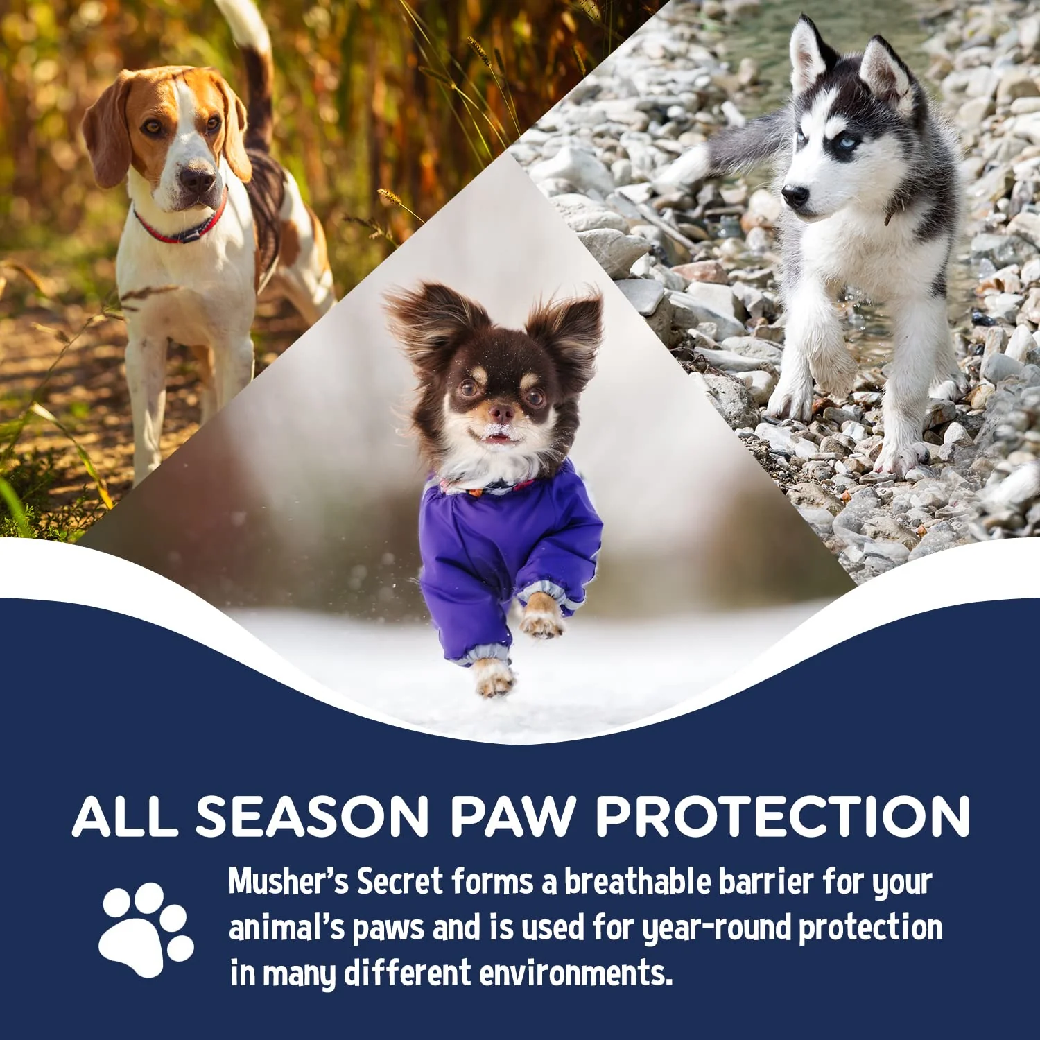 Musher's Secret Dog Paw Wax 60g – Moisturizing Dog Paw Balm – Helps Protect & Heals Cracked Paws – Creates an Invisible Paw Protectors Barrier – All-Natural Nose & Paw Balm with Vitamin E - Image 7