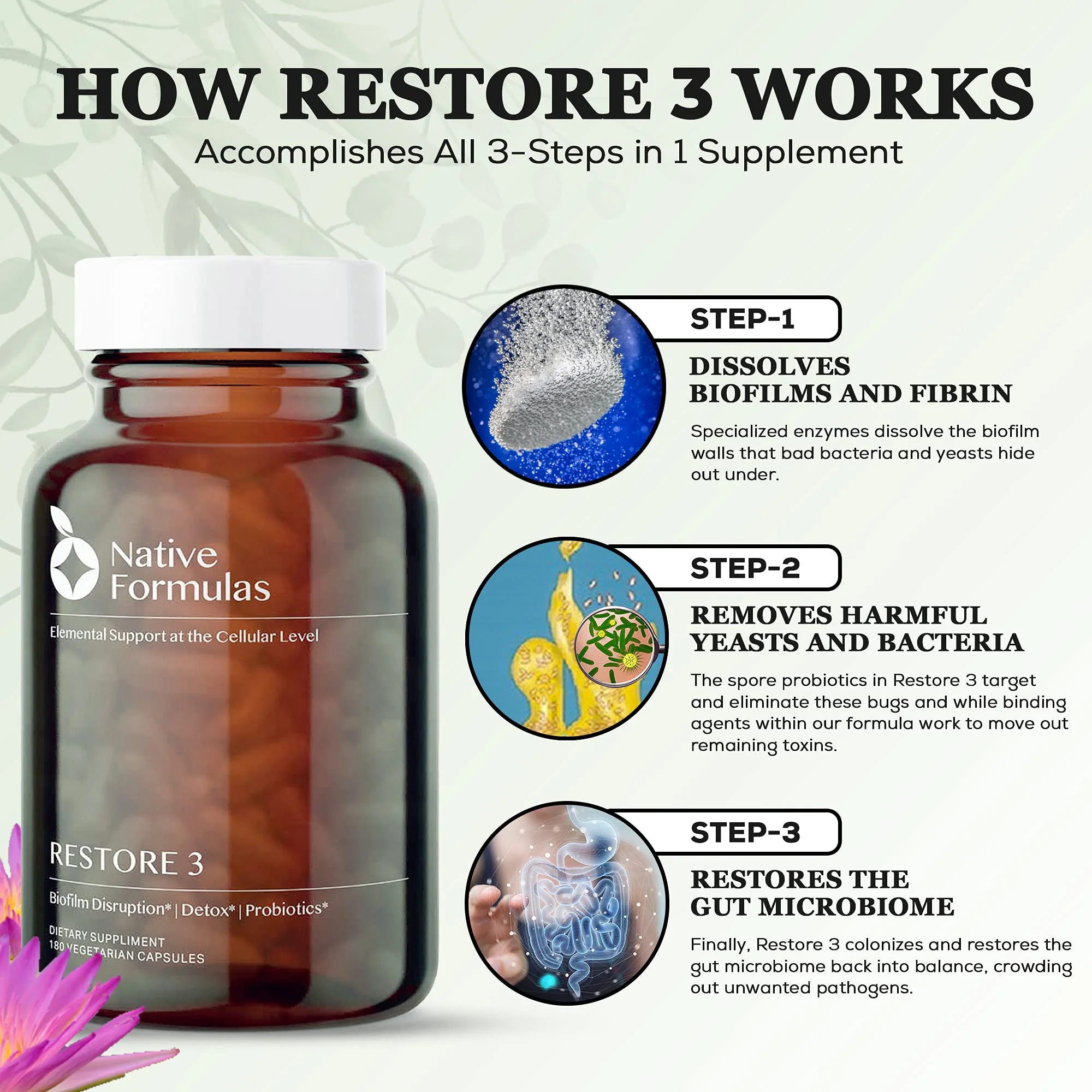 Native Formulas Restore 3 Proteolytic Enzyme & Spore Probiotic Blend Supplement - 60 Capsules - Advanced Biofilm Disruption Aid - Support GI Health, Fibromyalgia, Gut Flora, Muscle - Image 5