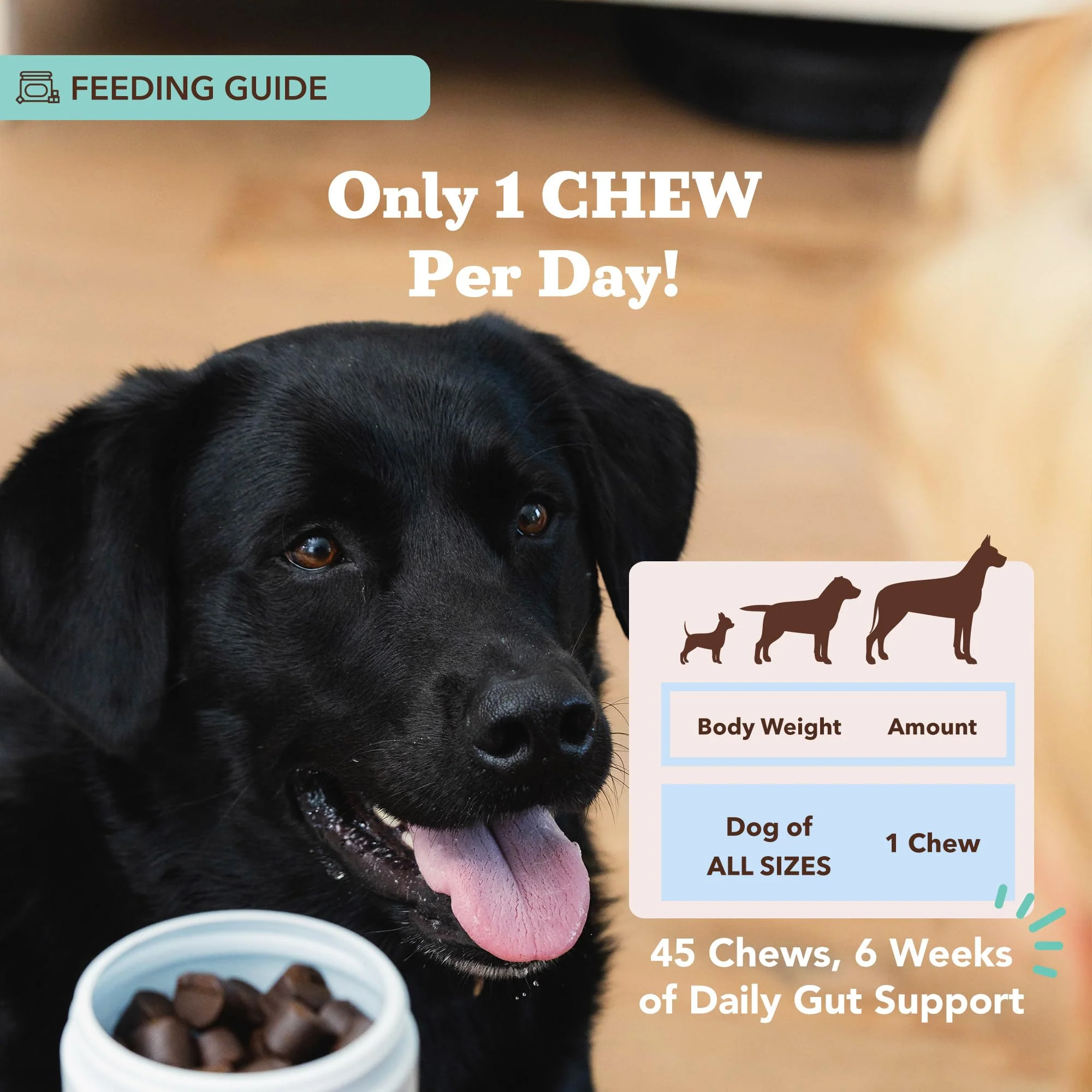 Natural Dog Company Probiotic Chews (90 Bites), Chicken Flavor, Helps with Digestion, Supports Immune System, Probiotics Supplement for Dogs of All Ages, Sizes & Breeds. - Image 4