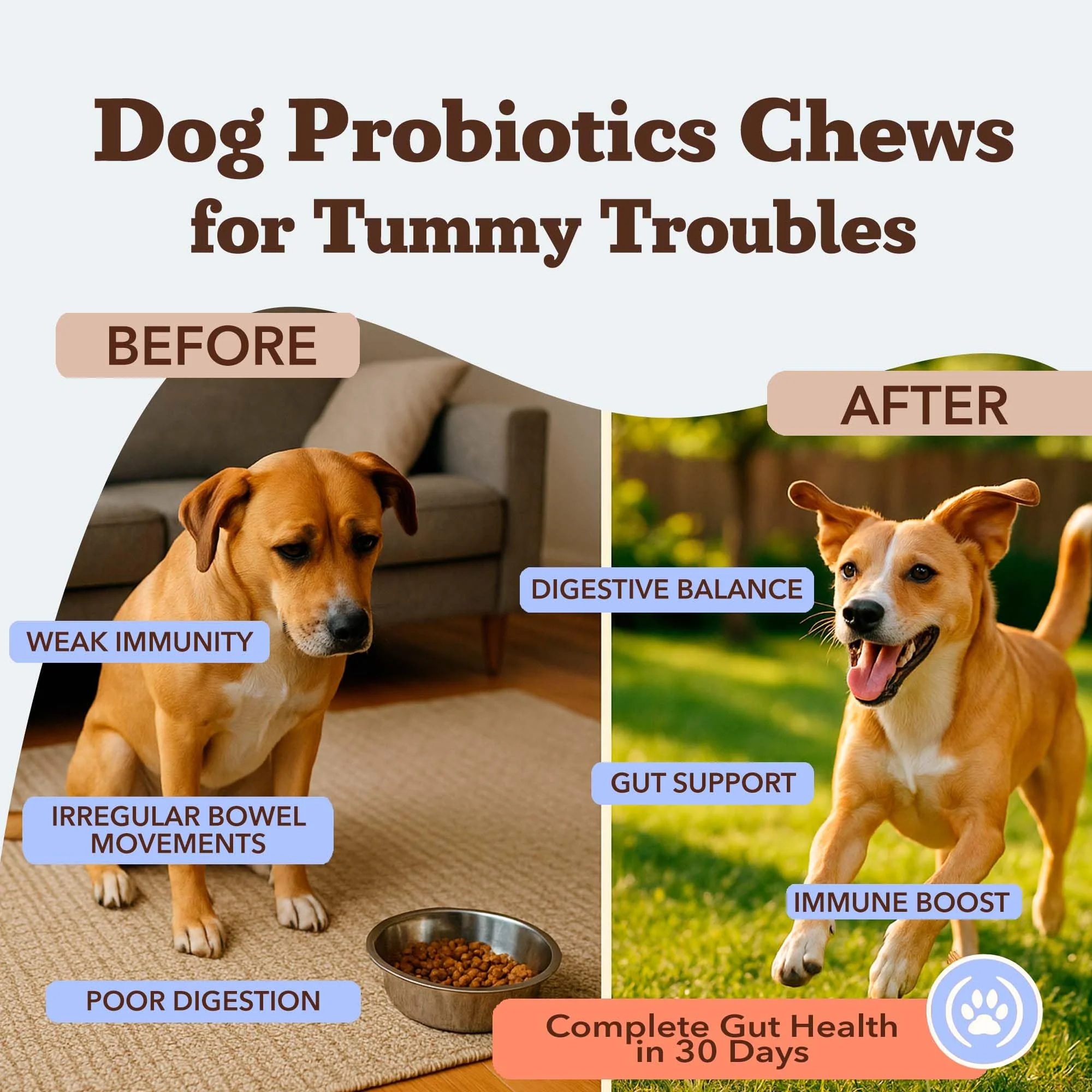 Natural Dog Company Probiotic Chews (90 Bites), Chicken Flavor, Helps with Digestion, Supports Immune System, Probiotics Supplement for Dogs of All Ages, Sizes & Breeds. - Image 9