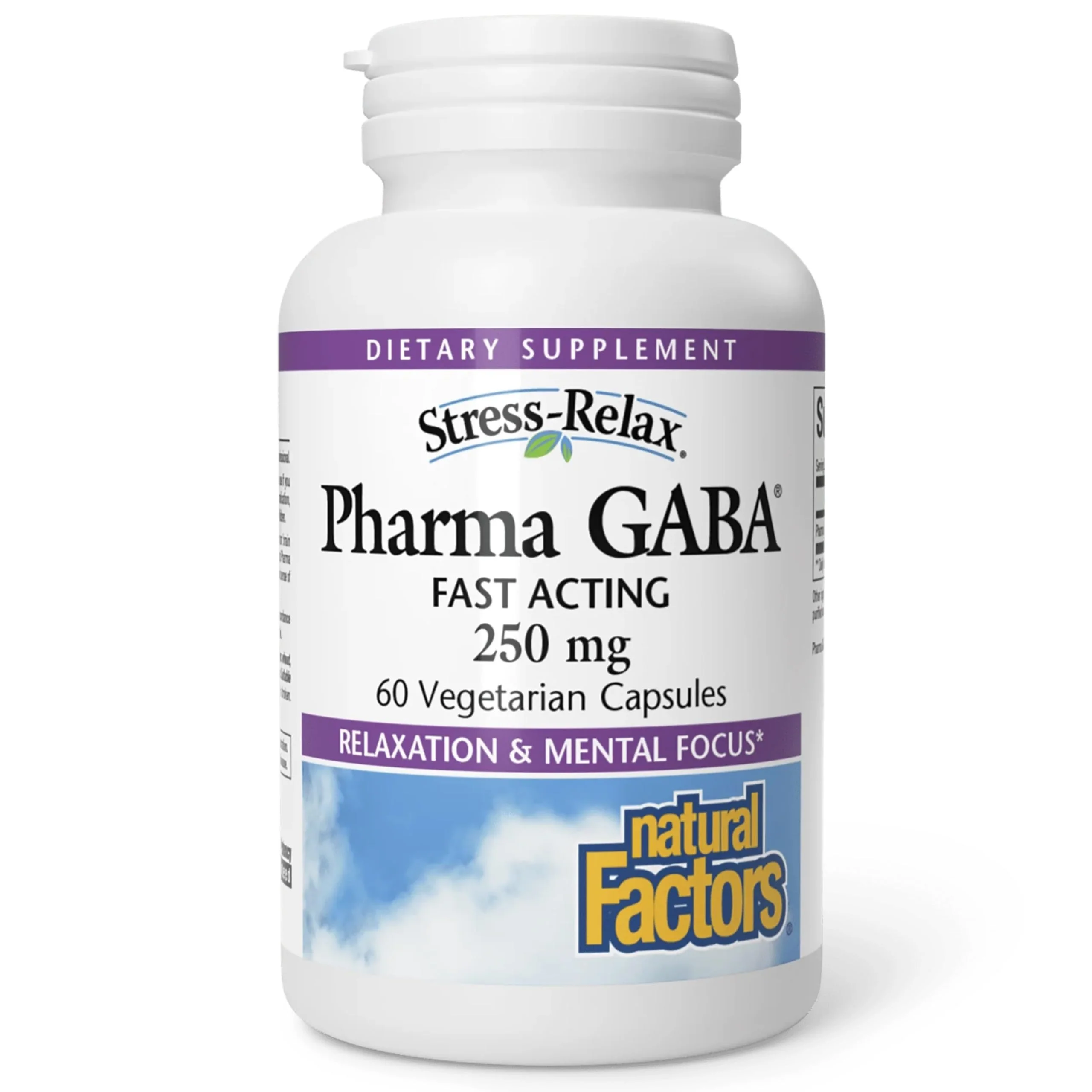 Natural Factors Pharma GABA - Dietary Supplement Supports Calm Sleep & Sleep Quality - Natural, Fast-Working Supplement Aids Focus & Brain Health - 60 Chewable Tablets (60 Servings)