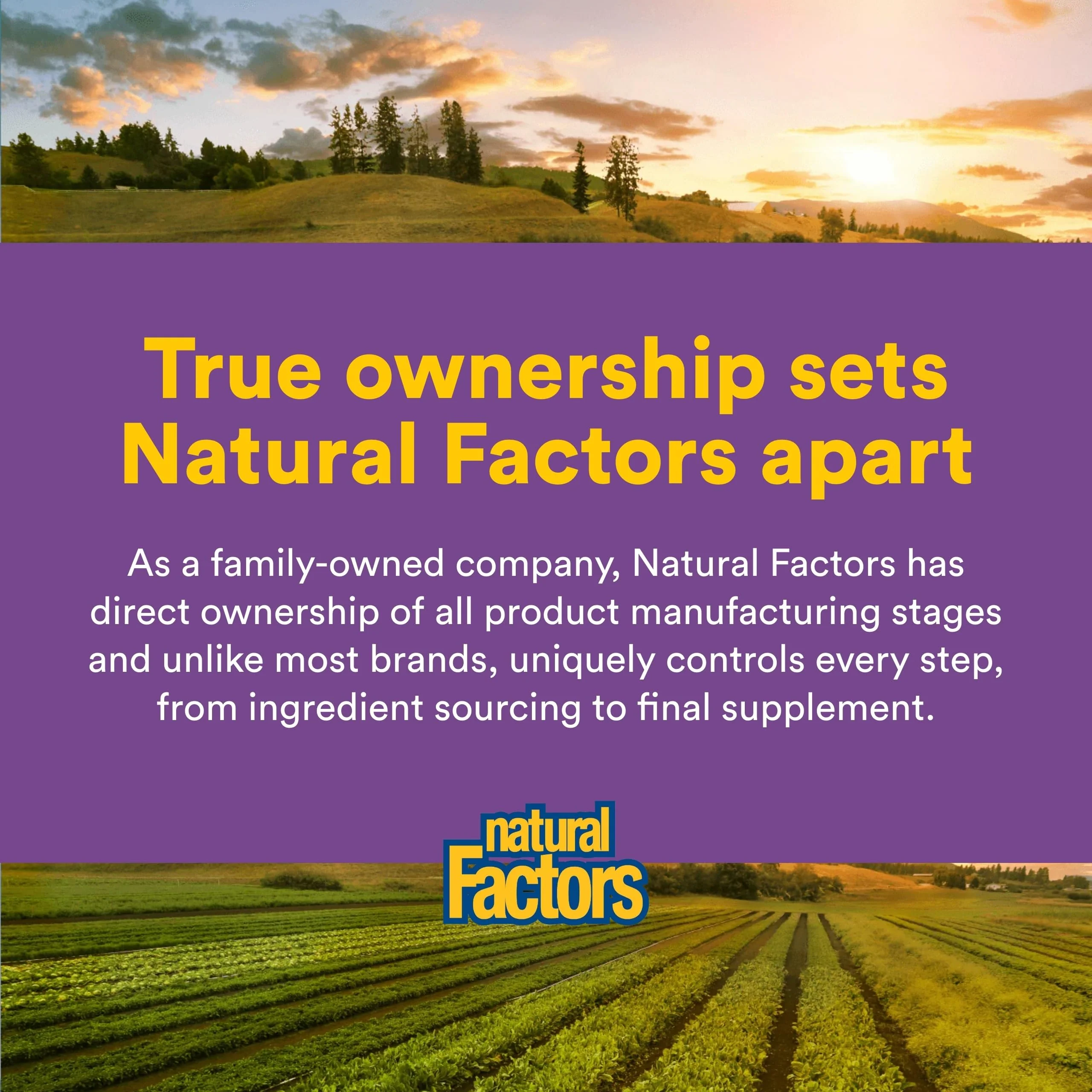 Natural Factors Pharma GABA - Dietary Supplement Supports Calm Sleep & Sleep Quality - Natural, Fast-Working Supplement Aids Focus & Brain Health - 60 Chewable Tablets (60 Servings) - Image 3