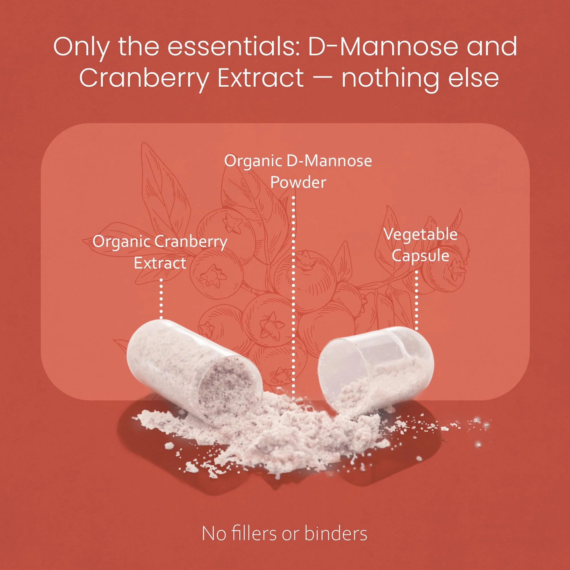 NaturaLife Labs Organic D-Mannose 1300 mg with Organic Cranberry Extract 100 mg per Serving – 100 Capsules – Non-GMO, Gluten-Free, Vegan - Image 3