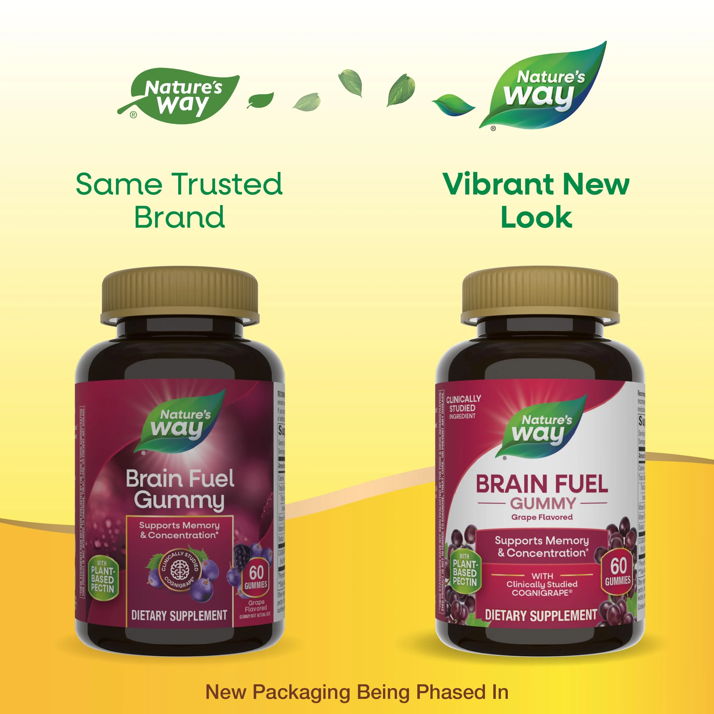 Nature’s Way Brain Fuel, Supports Memory and Concentration*, Brain Function Support Supplement*, Clinically Studied Cognigrape®, Grape Flavored, 60 Gummies - Image 7