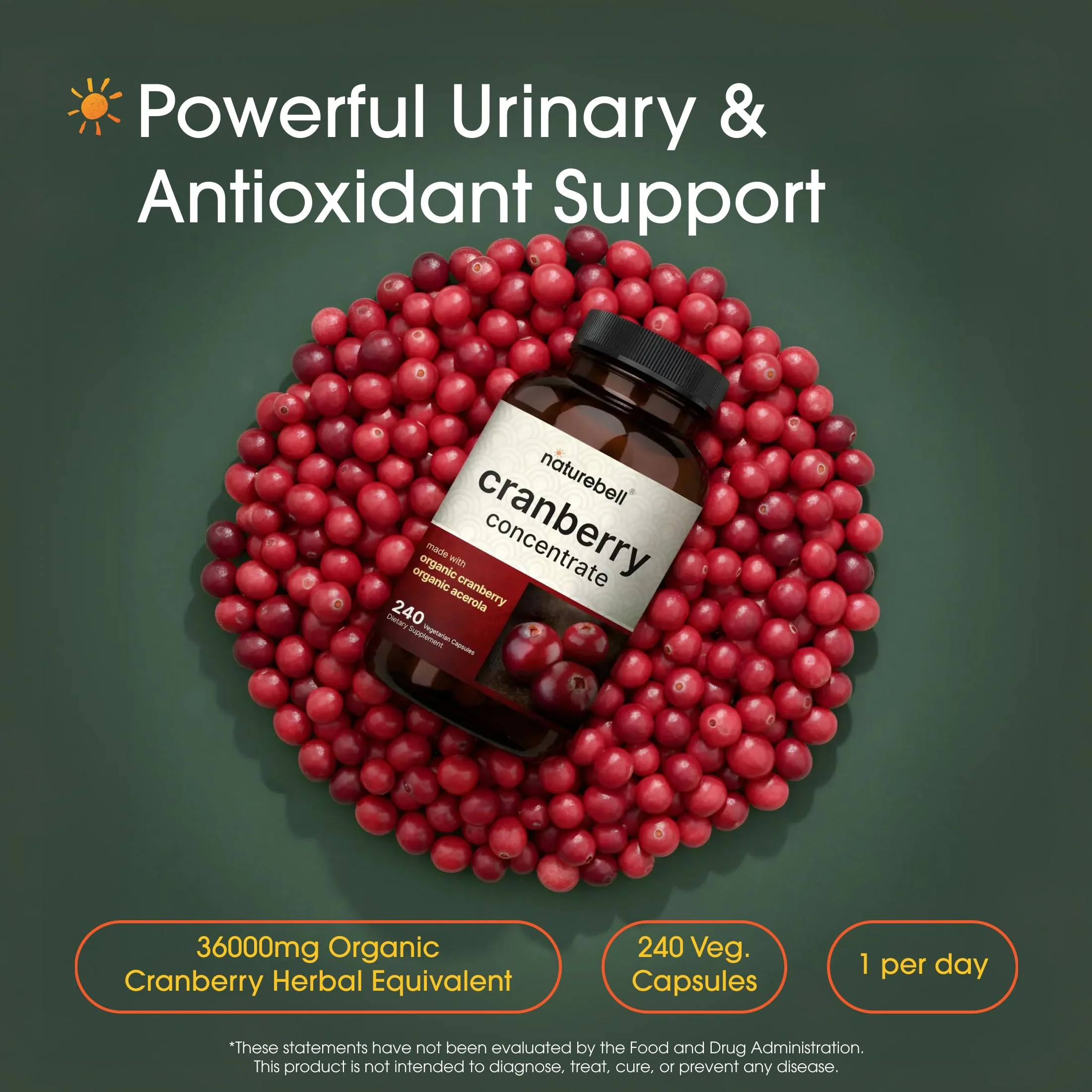 NatureBell Cranberry Concentrate - 240 Capsules - Organic Cranberry Concentrate with Acerola Cherry - Urinary Tract & Prostate Support* - Vegetarian - Image 8