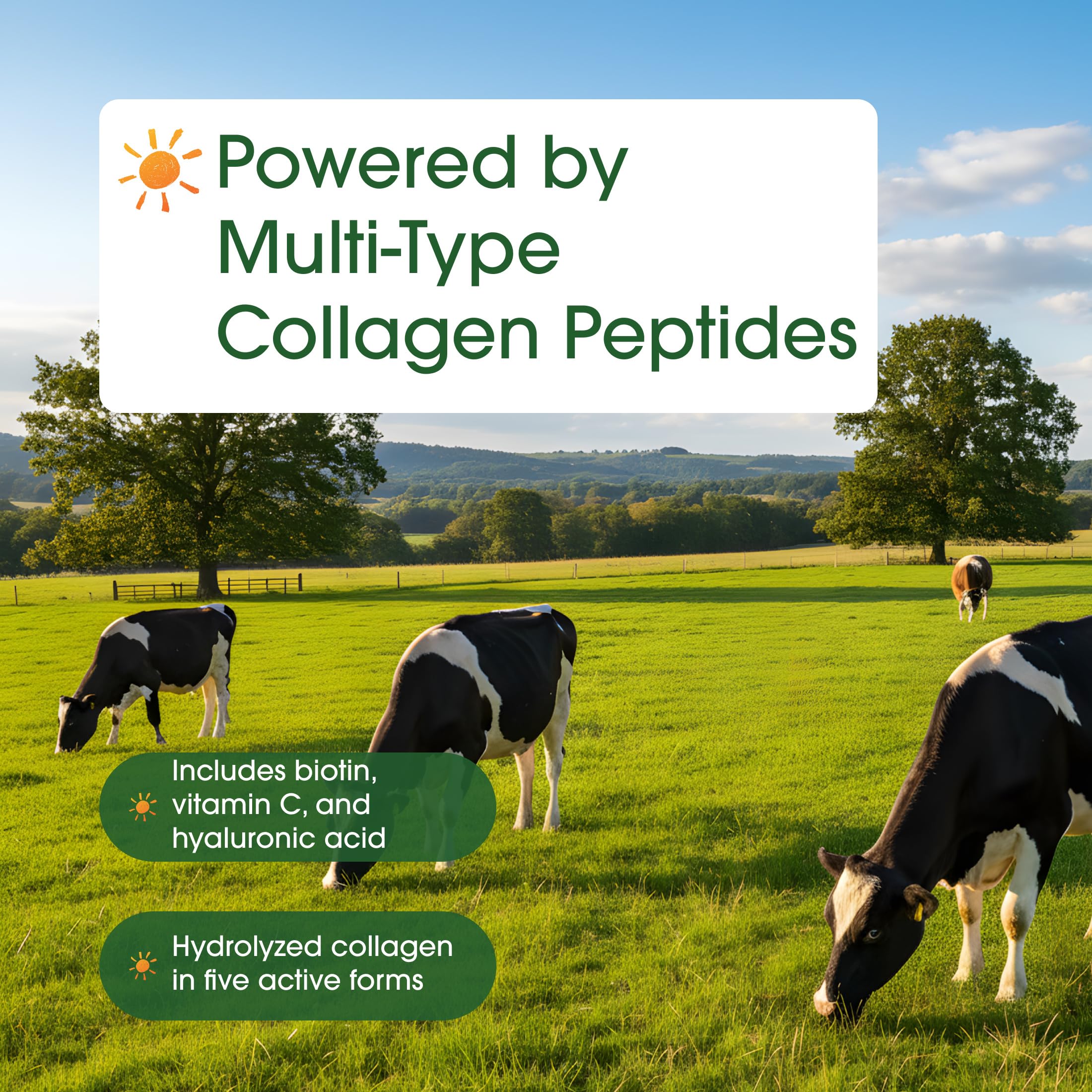 NatureBell Multi Collagen Protein Powder - 600g - Hydrolyzed Collagen Peptides - for Skin, Hair, Nail, Joint & Bone Health Support* - Grass-Fed & Keto-Friendly - Unflavored - Image 4