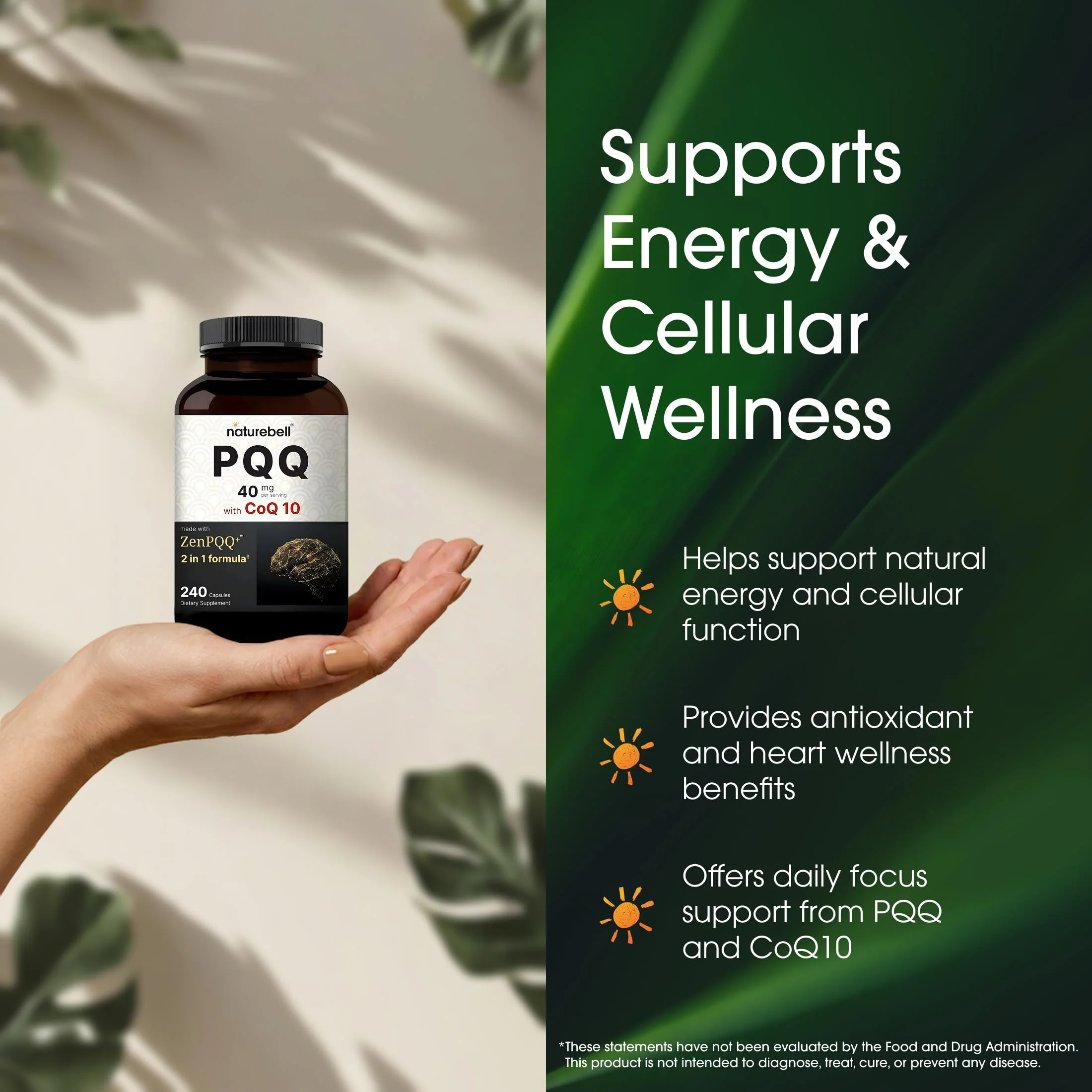 NatureBell PQQ with CoQ10-240 Capsules - 40mg Active PQQ with 10mg Coenzyme Q10 - Cellular Energy & Cognitive Function Support - Antioxidant Nutrients for Heart & Brain Health* - Image 6