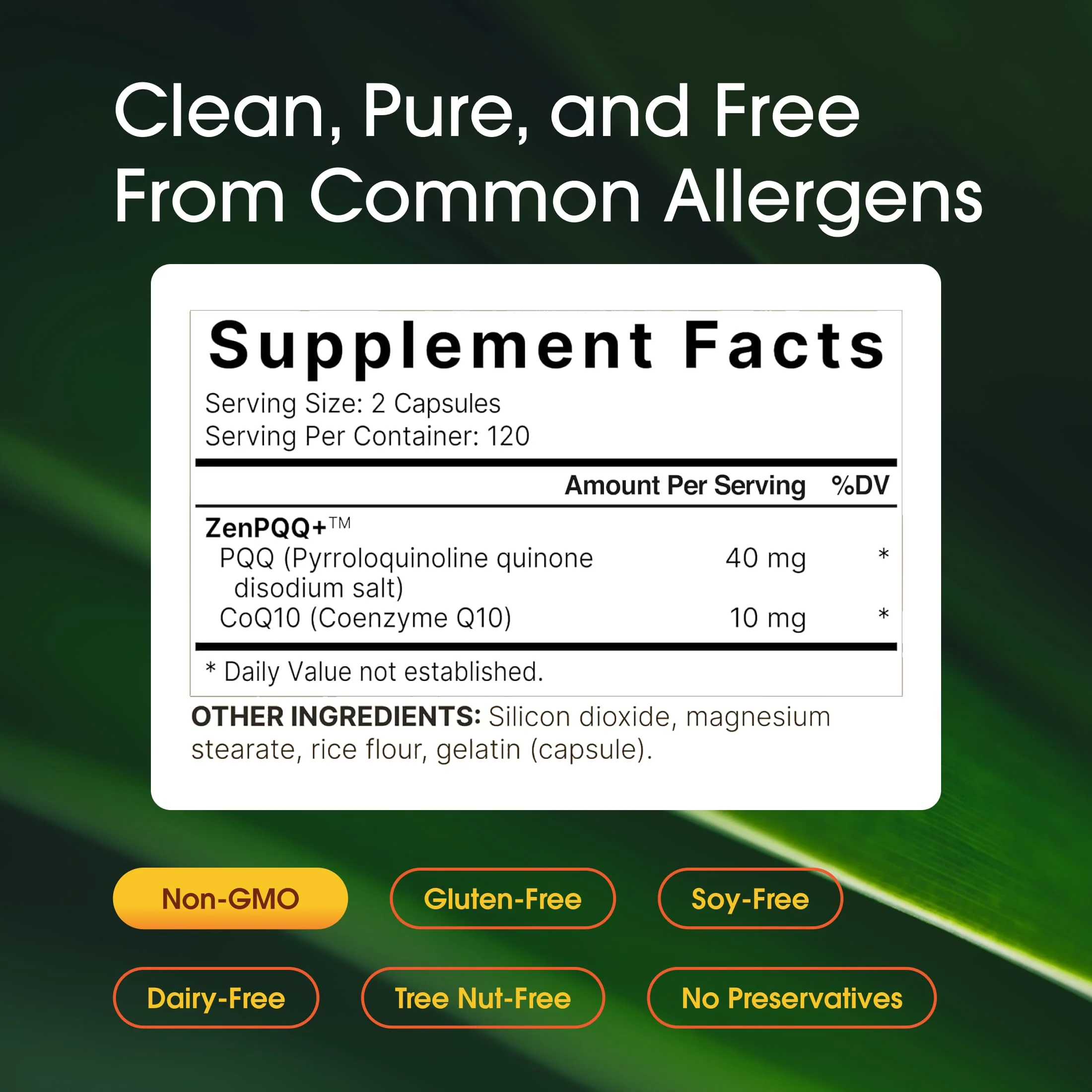 NatureBell PQQ with CoQ10-240 Capsules - 40mg Active PQQ with 10mg Coenzyme Q10 - Cellular Energy & Cognitive Function Support - Antioxidant Nutrients for Heart & Brain Health* - Image 7