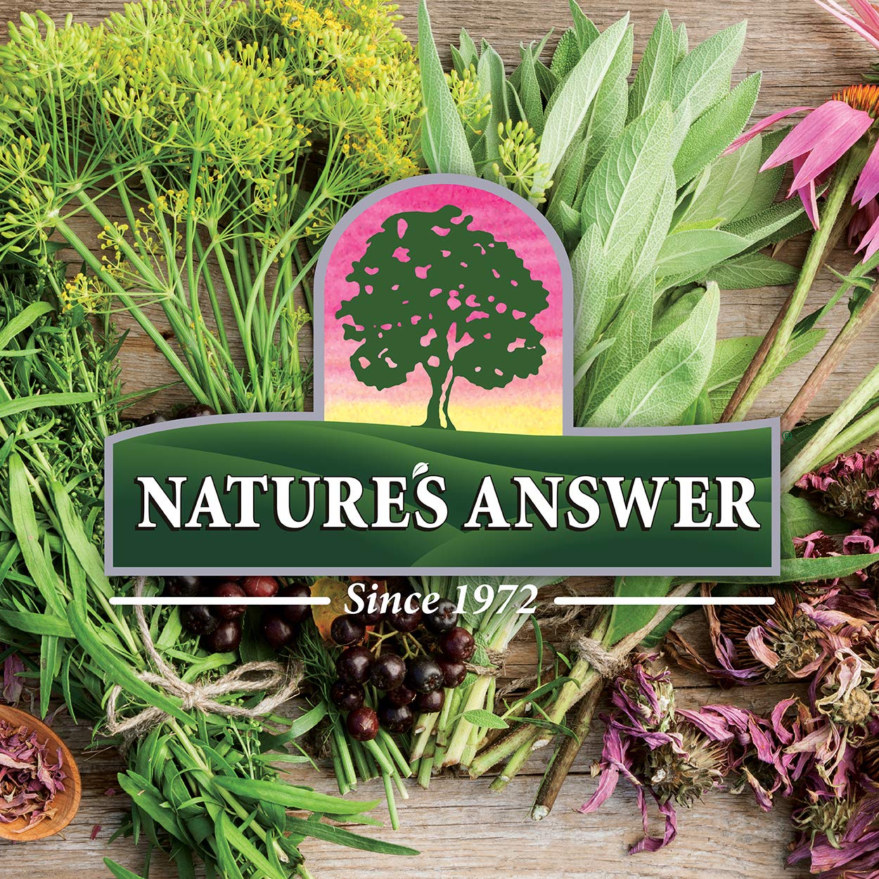 Nature's Answer Black Walnut and Wormwood (Value Pack of 3) - Image 2