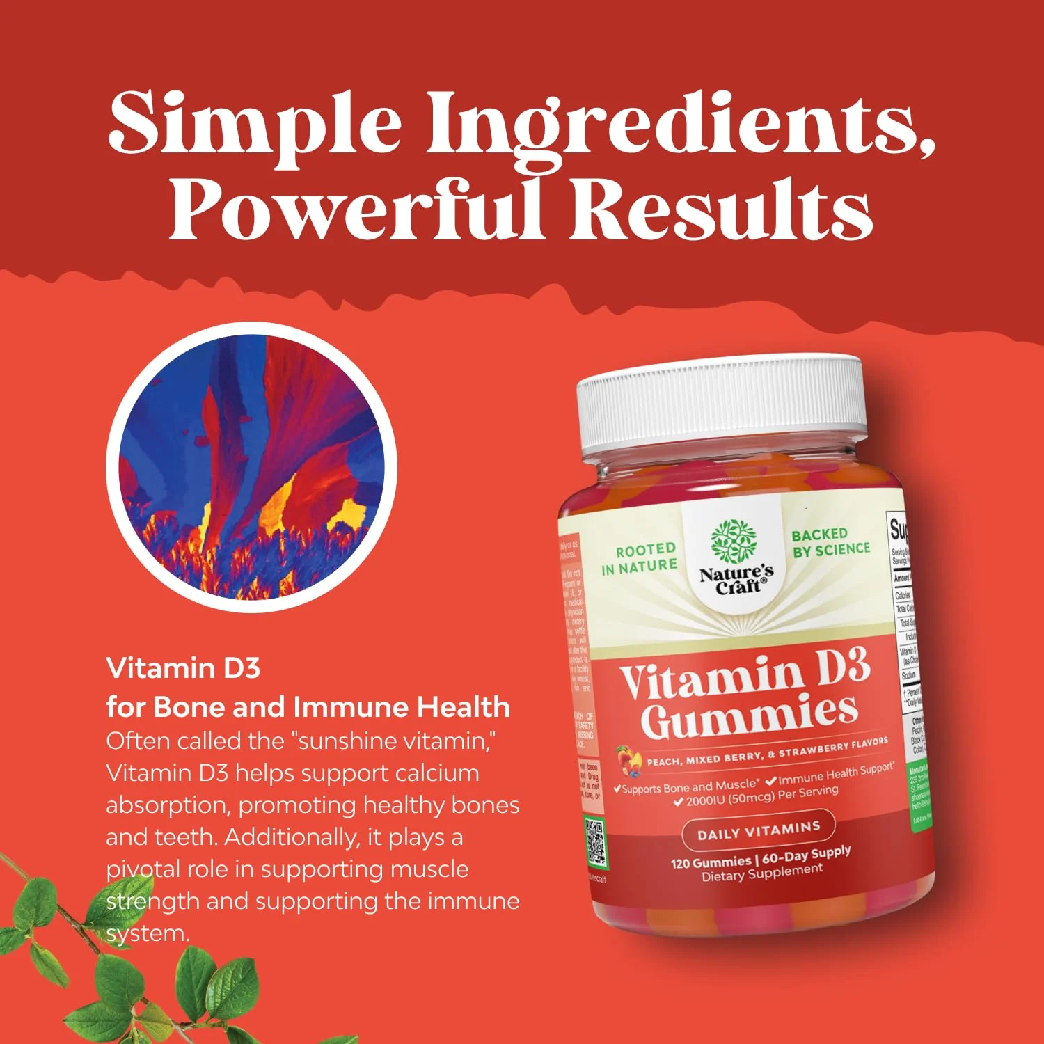 Natures Craft Vitamin D3 Gummies for Daily Wellness - Delicious Vitamin D Gummies for Adults with D3 2000IU per Serving Bone Muscle & Immune Support - Non-GMO Gelatin & Gluten Free - 120 Count - Image 5