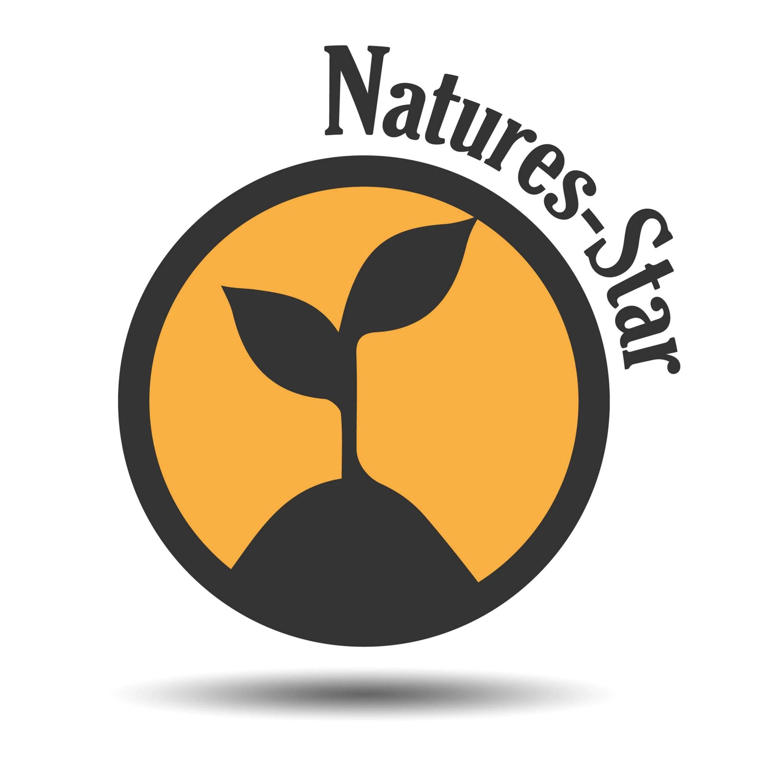 Natures-Star 2 Pack 16oz Bulk Size Tea Tree Essential Oil - (32 Ounce Total) - Therapeutic Grade Essential Oil - 16 Fl Oz Tea Tree Oil Bottles - Bulk Tea Tree Oil - Bulk Essential Oils - Image 2