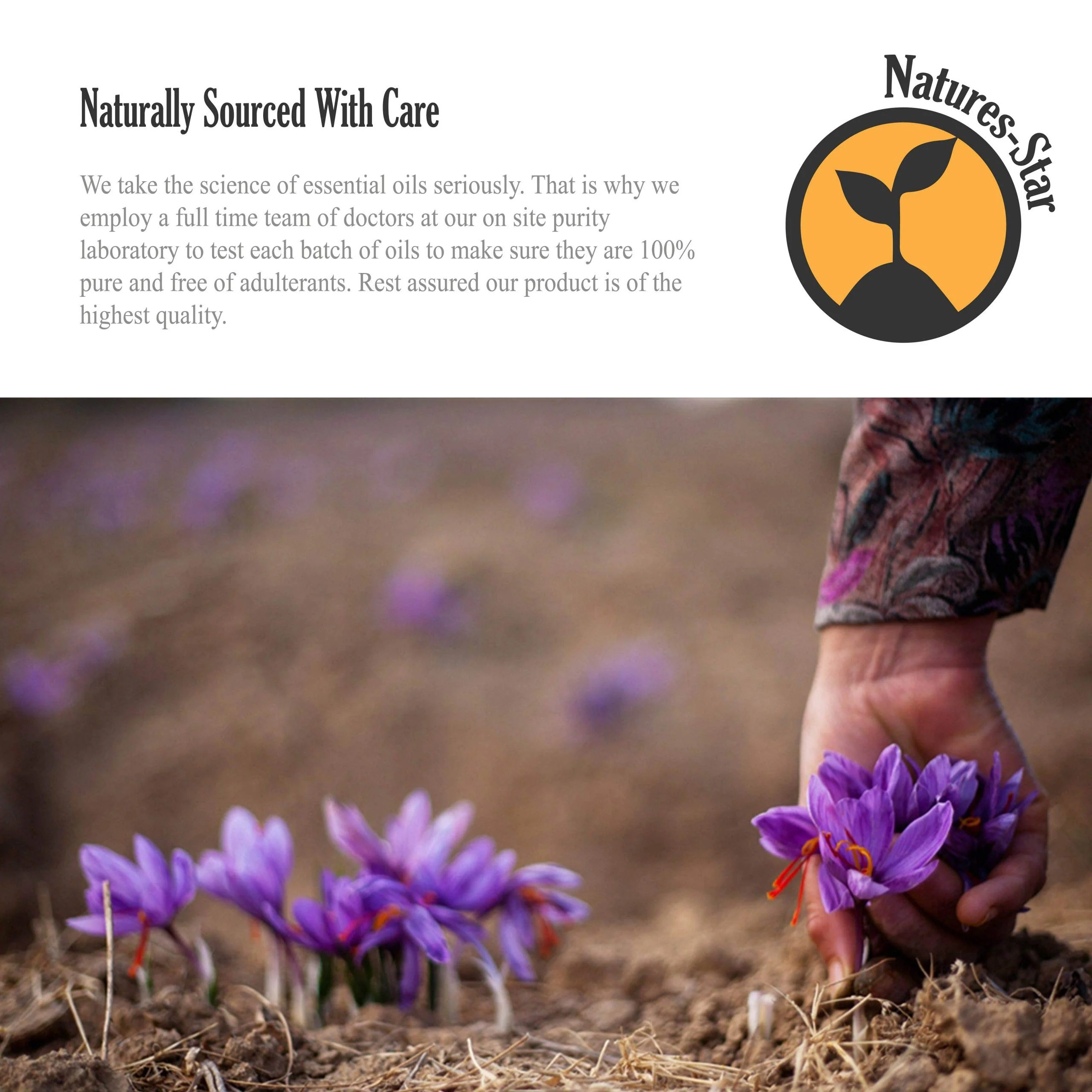 Natures-Star 2 Pack 16oz Bulk Size Tea Tree Essential Oil - (32 Ounce Total) - Therapeutic Grade Essential Oil - 16 Fl Oz Tea Tree Oil Bottles - Bulk Tea Tree Oil - Bulk Essential Oils - Image 4