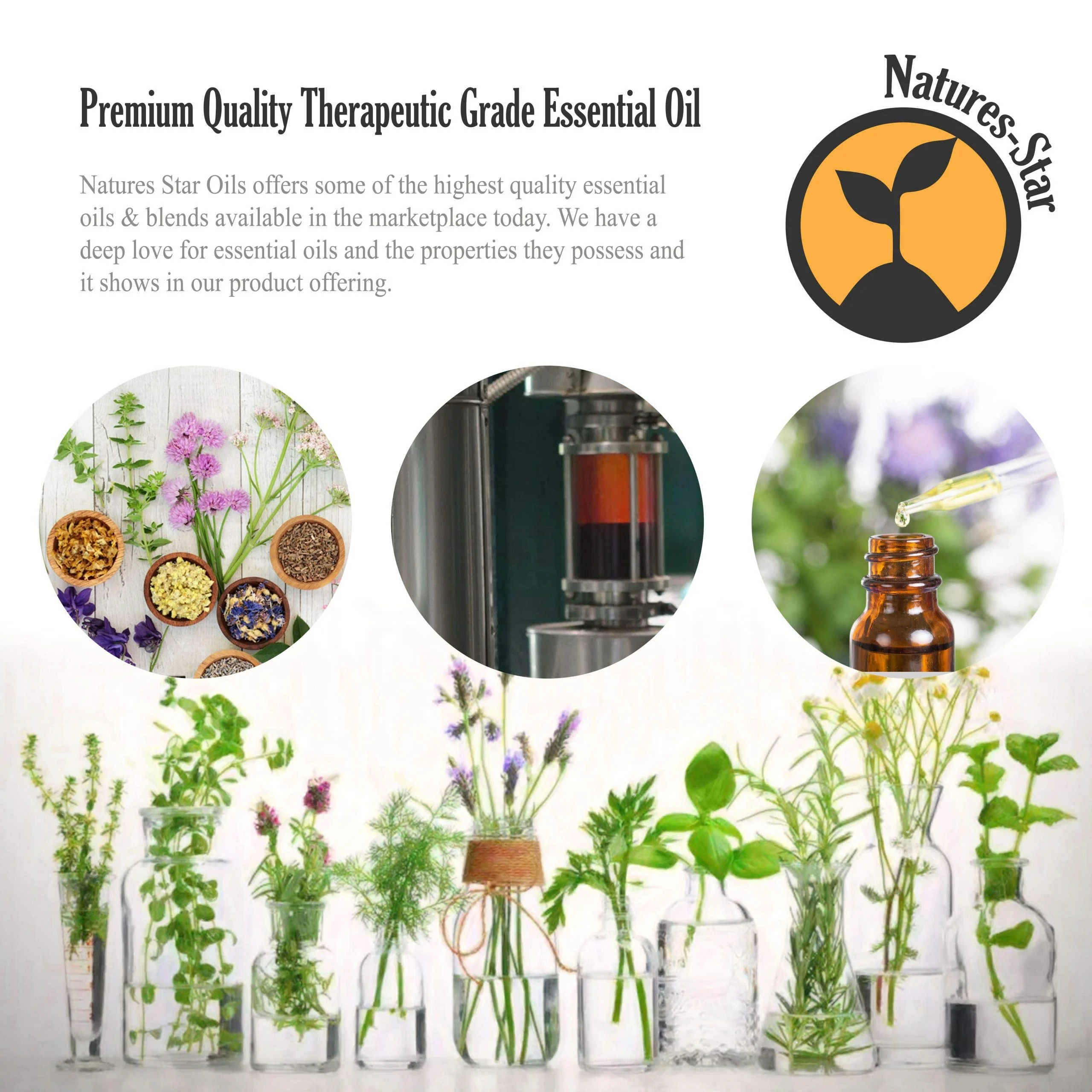 Natures-Star 2 Pack 16oz Bulk Size Tea Tree Essential Oil - (32 Ounce Total) - Therapeutic Grade Essential Oil - 16 Fl Oz Tea Tree Oil Bottles - Bulk Tea Tree Oil - Bulk Essential Oils - Image 5