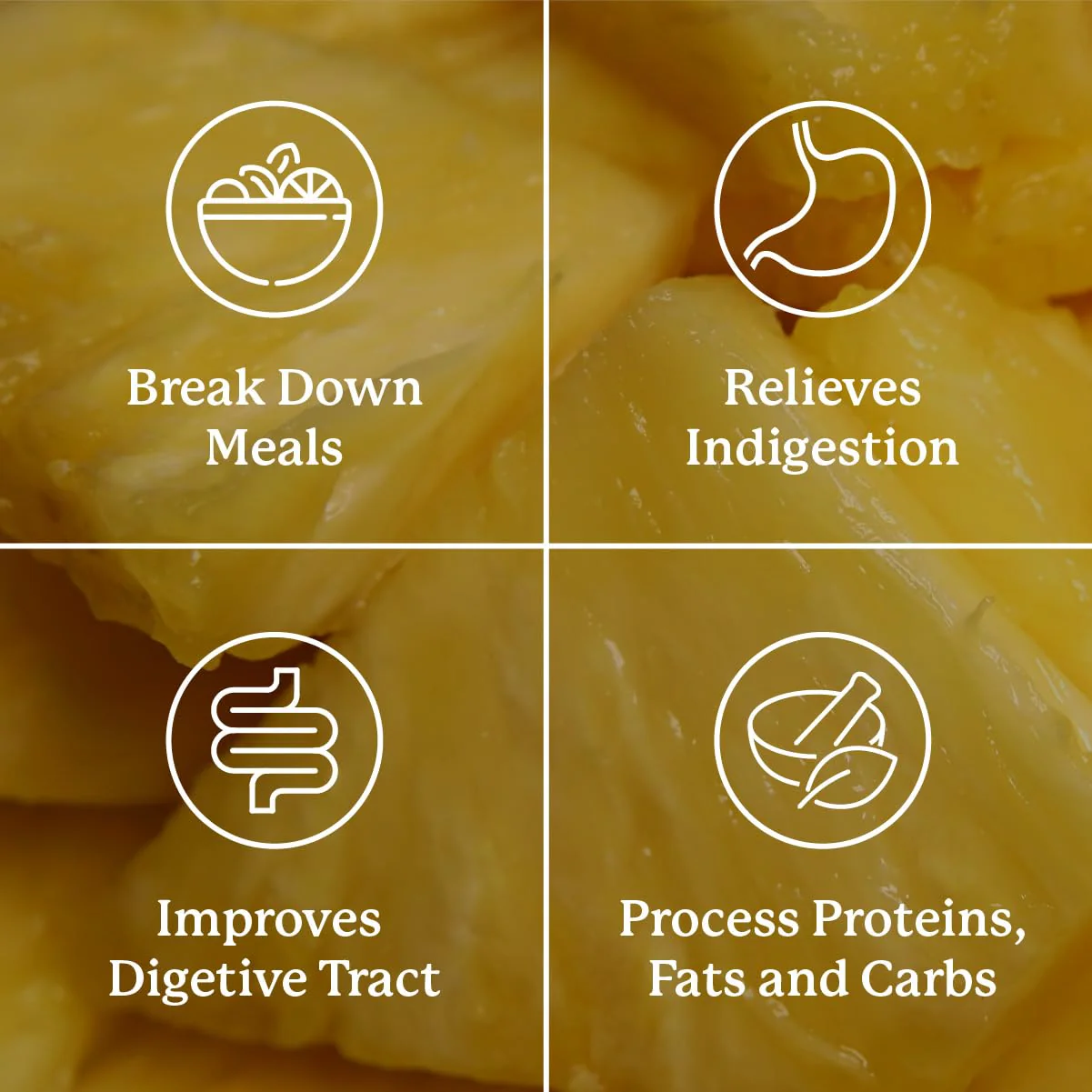 Nature's Sunshine Food Enzymes - Digestive Support with Prebiotics and Probiotics for Gut Health - Digestive Enzyme Supplement for Digestive Health and Relief from Occasional Indigestion - Image 4