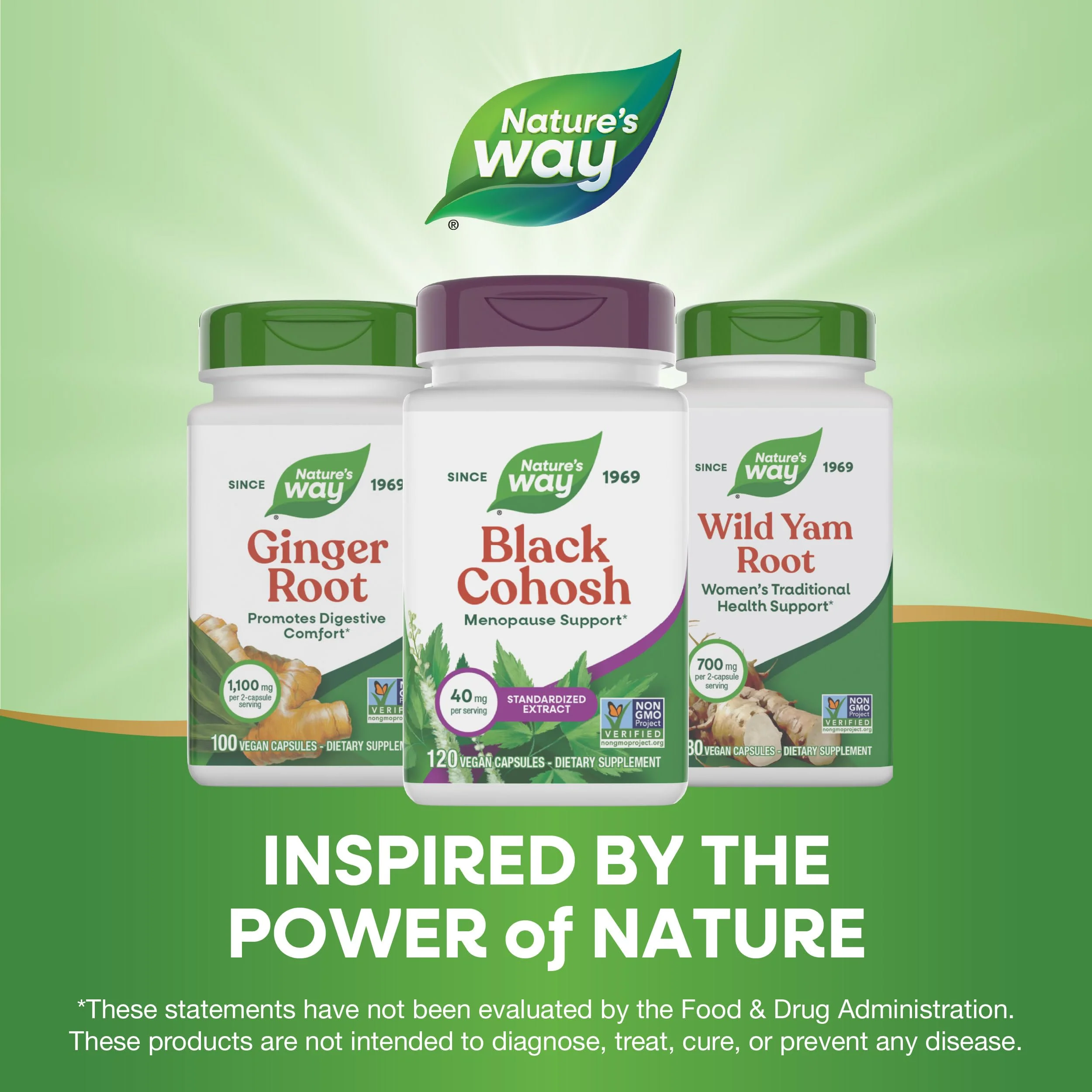 Nature's Way Black Cohosh Premium Extract, Helps Reduce Night Sweats and Promotes Restful Sleep for Women During Menopause*, 40 mg per Serving, 120 Vegan Capsules (Packaging May Vary), (Pack of 2) - Image 3